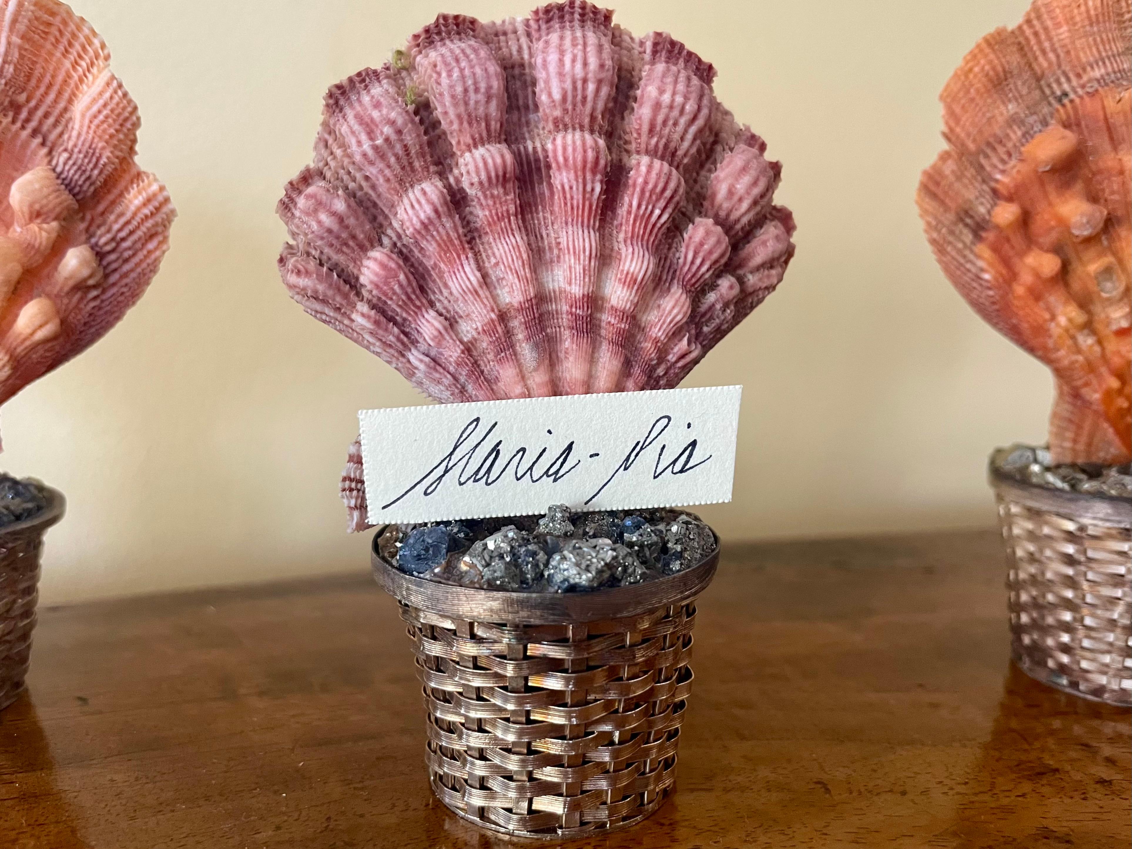 Set of Five Ornamental Shells in Mexican Silver Baskets In Good Condition For Sale In New York, NY