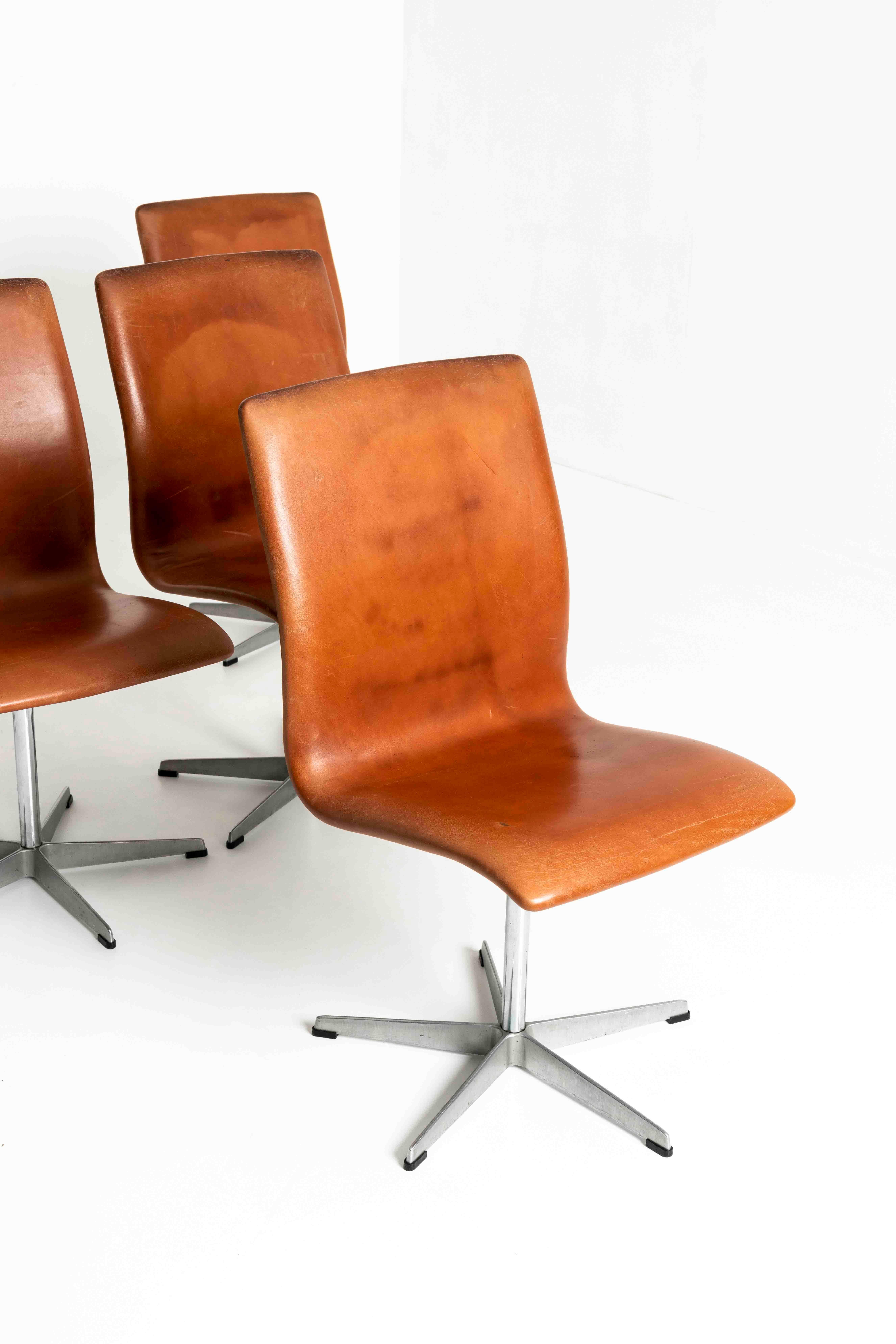 Set of five 'Oxford Chairs' swivel dining chairs with brown leather upholstery and a metal frame. These chairs, with model 3171, are designed in 1965 and executed at a later date by Fritz Hansen. The chairs have a nice patina and are clearly marked.