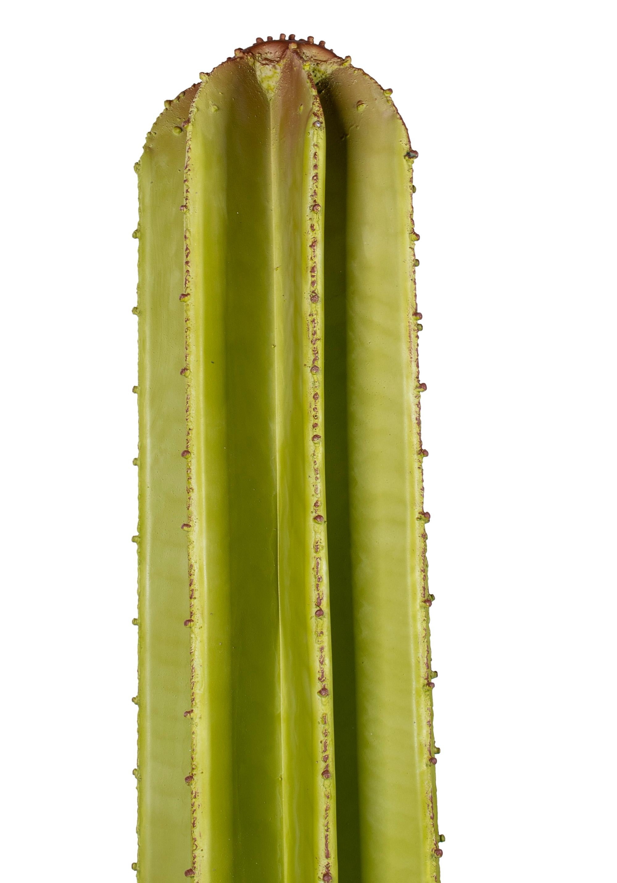 cactus in spanish
