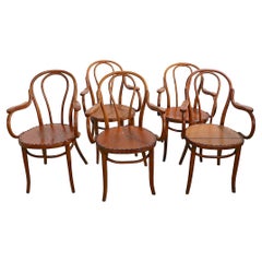 Set of Five Thonet Chairs