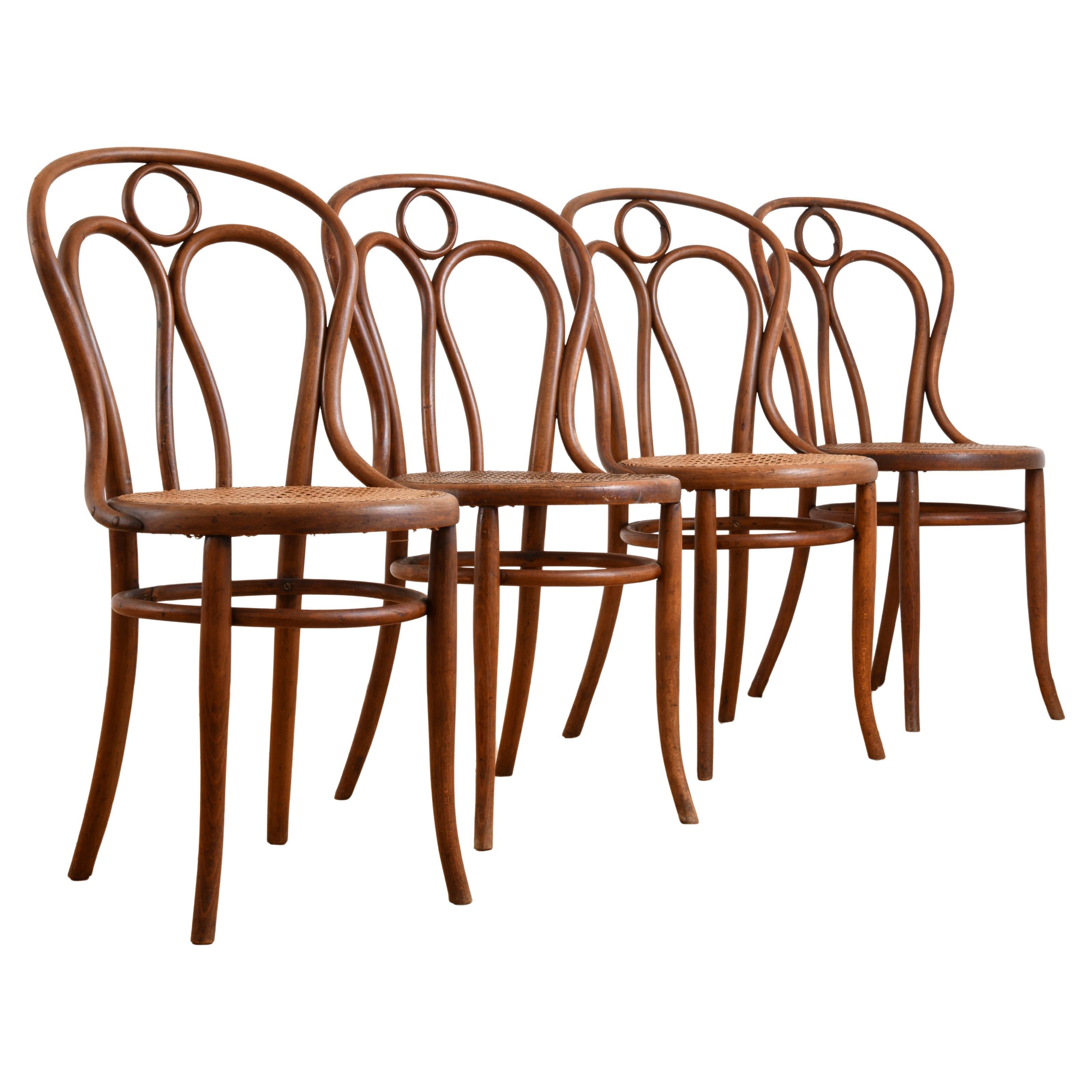 Ensemble de quatre chaises en bois courbé produites par Kohn au début du 20e siècle en vente