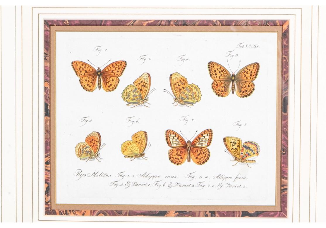 European Set of Four 1783 German Color Engravings with Butterflies by Carl Gustav Jablons