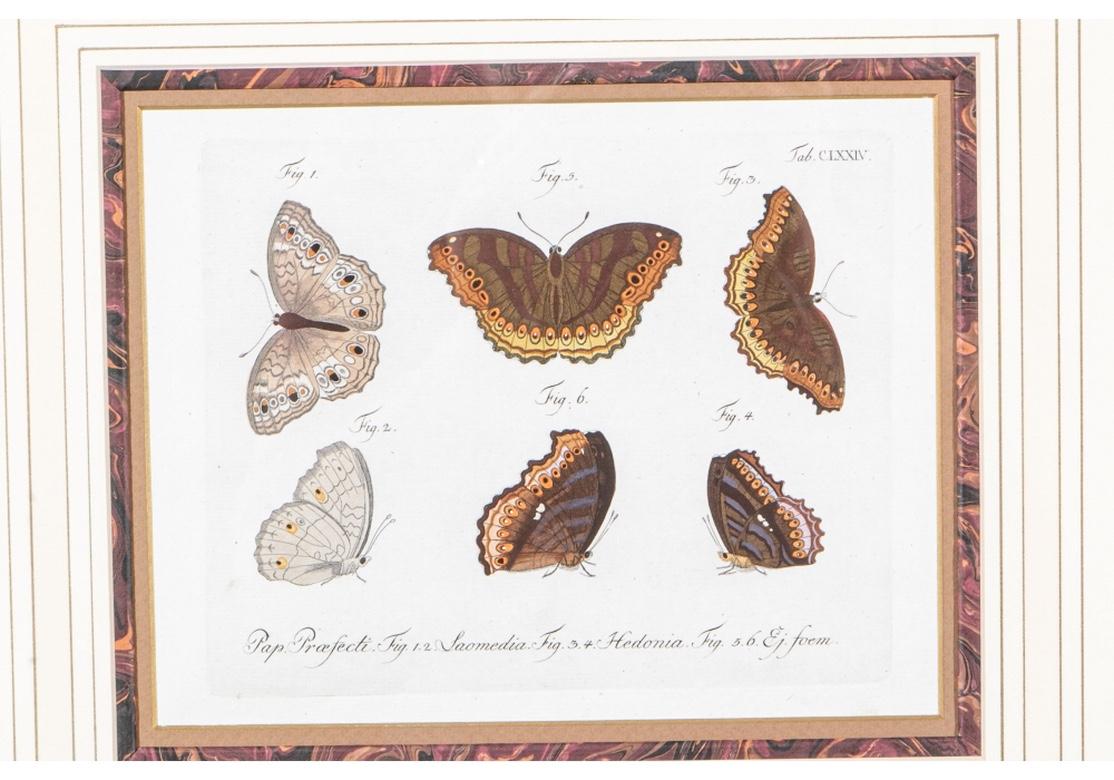 Set of Four 1783 German Color Engravings with Butterflies by Carl Gustav Jablons In Good Condition In Bridgeport, CT