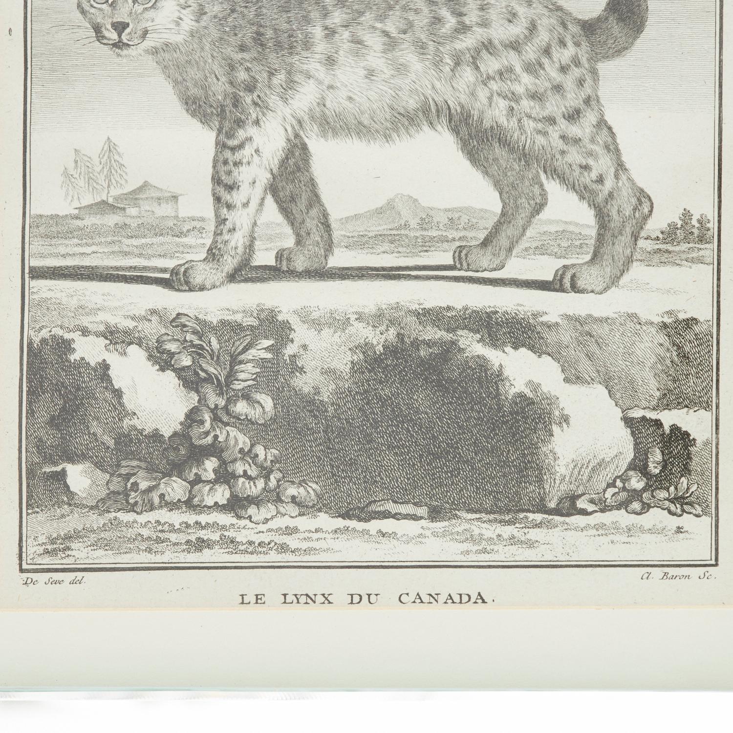 Ensemble de quatre gravures animalières du XVIIIe siècle d'après Jacques E. de Sève, encadrées en vente 3