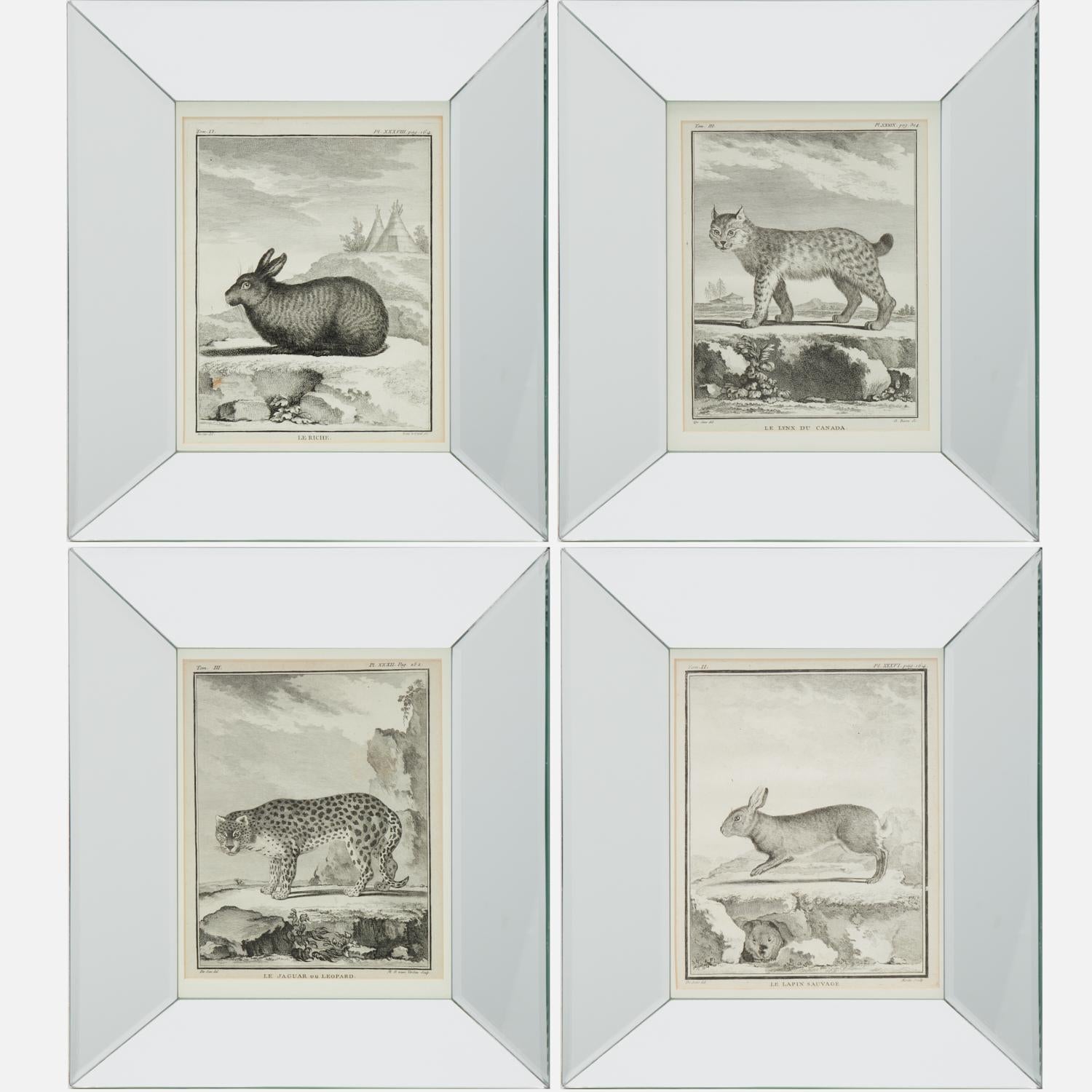 Ensemble de quatre gravures animalières du XVIIIe siècle d'après Jacques E. de Sève, encadrées en vente 5
