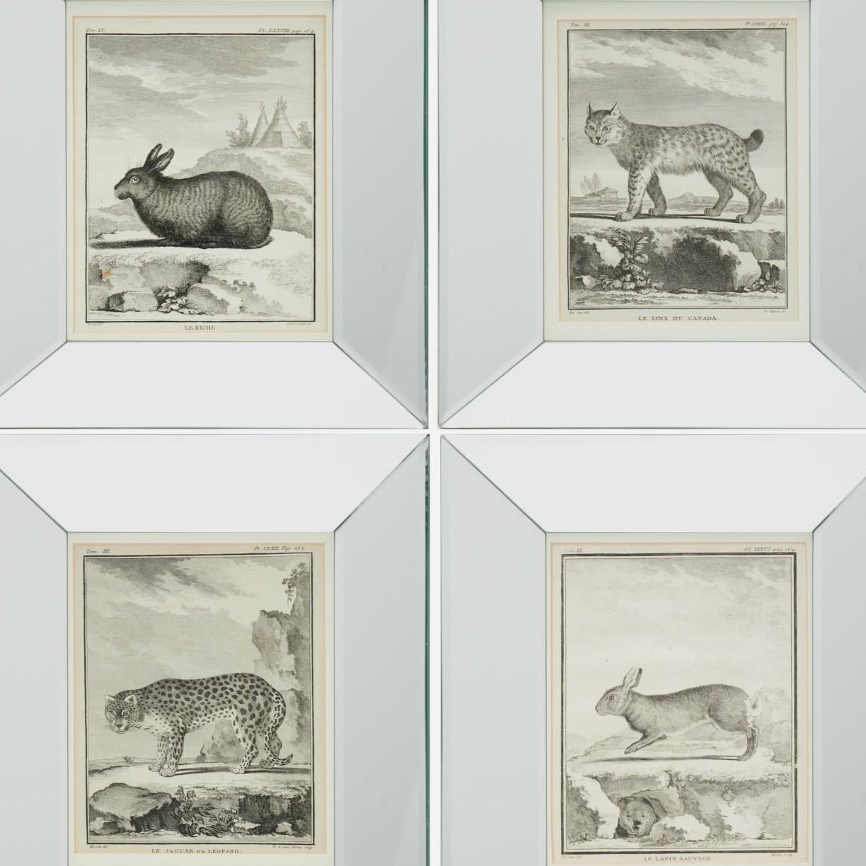 Ensemble de quatre gravures animalières du XVIIIe siècle d'après Jacques E. de Sève, encadrées

Un bel ensemble de quatre gravures animalières du XVIIIe siècle d'après Jacques Eustache de Sève (français, 1742-1788), représentant Le Jaguar ou Le
