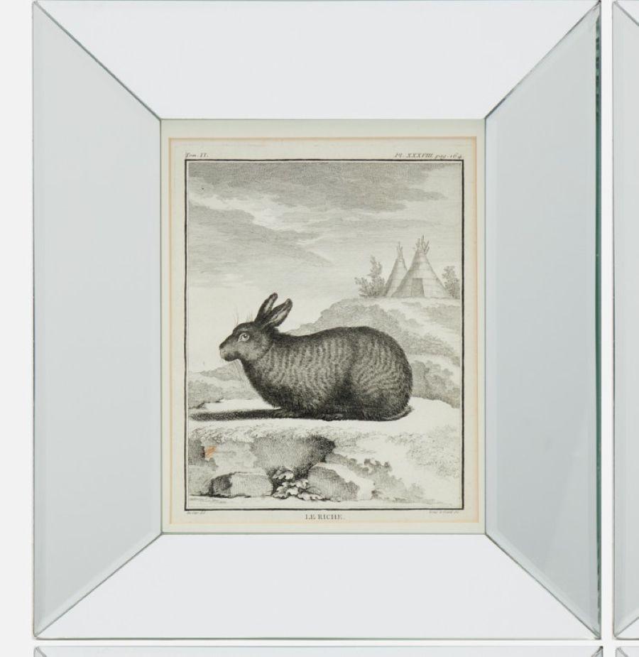 Empire Ensemble de quatre gravures animalières du XVIIIe siècle d'après Jacques E. de Sève, encadrées en vente