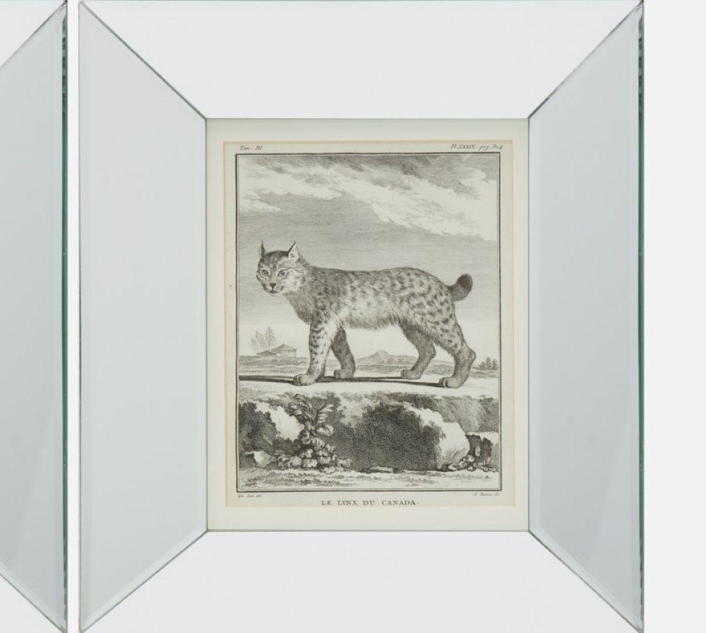 Français Ensemble de quatre gravures animalières du XVIIIe siècle d'après Jacques E. de Sève, encadrées en vente