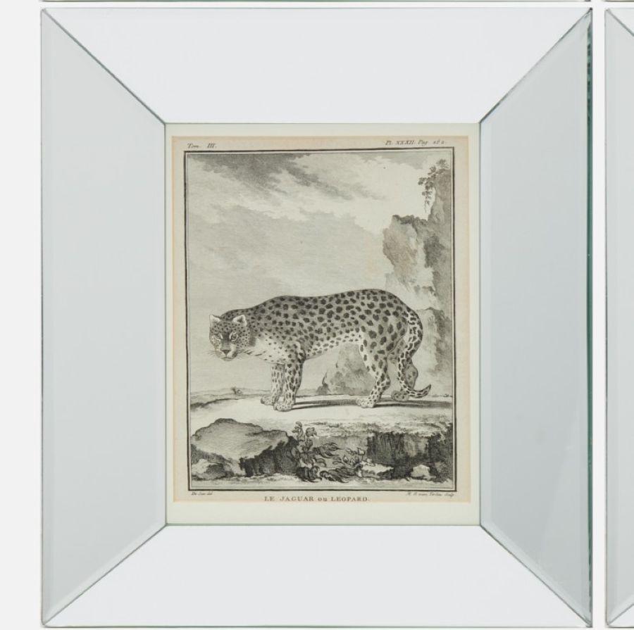 Gravé Ensemble de quatre gravures animalières du XVIIIe siècle d'après Jacques E. de Sève, encadrées en vente