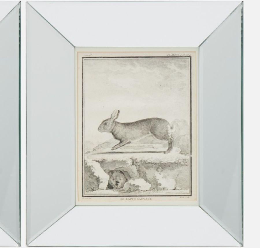 Ensemble de quatre gravures animalières du XVIIIe siècle d'après Jacques E. de Sève, encadrées Bon état - En vente à Morristown, NJ