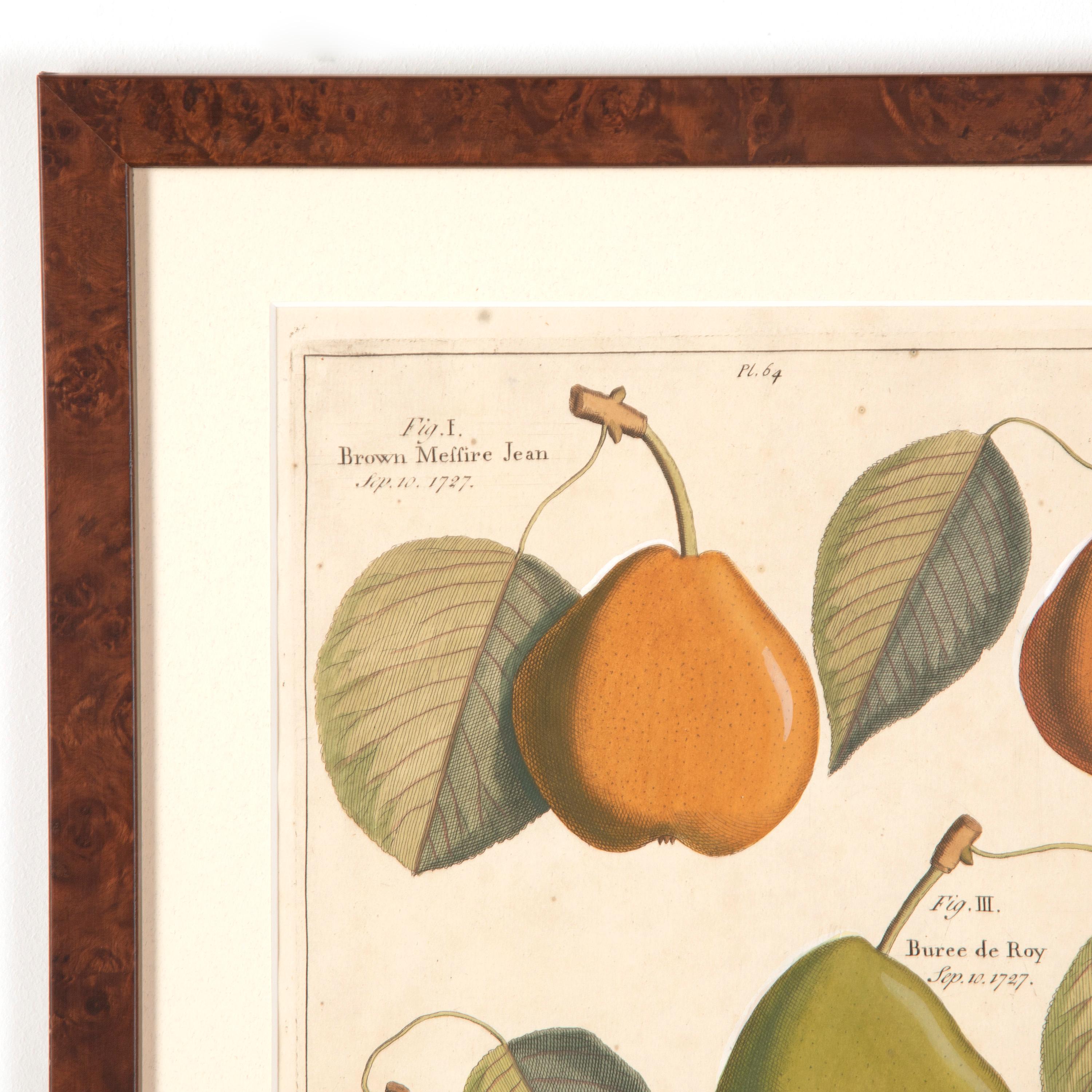 18th Century and Earlier Set of Four 18th Century Fruit Prints by Batty Langley