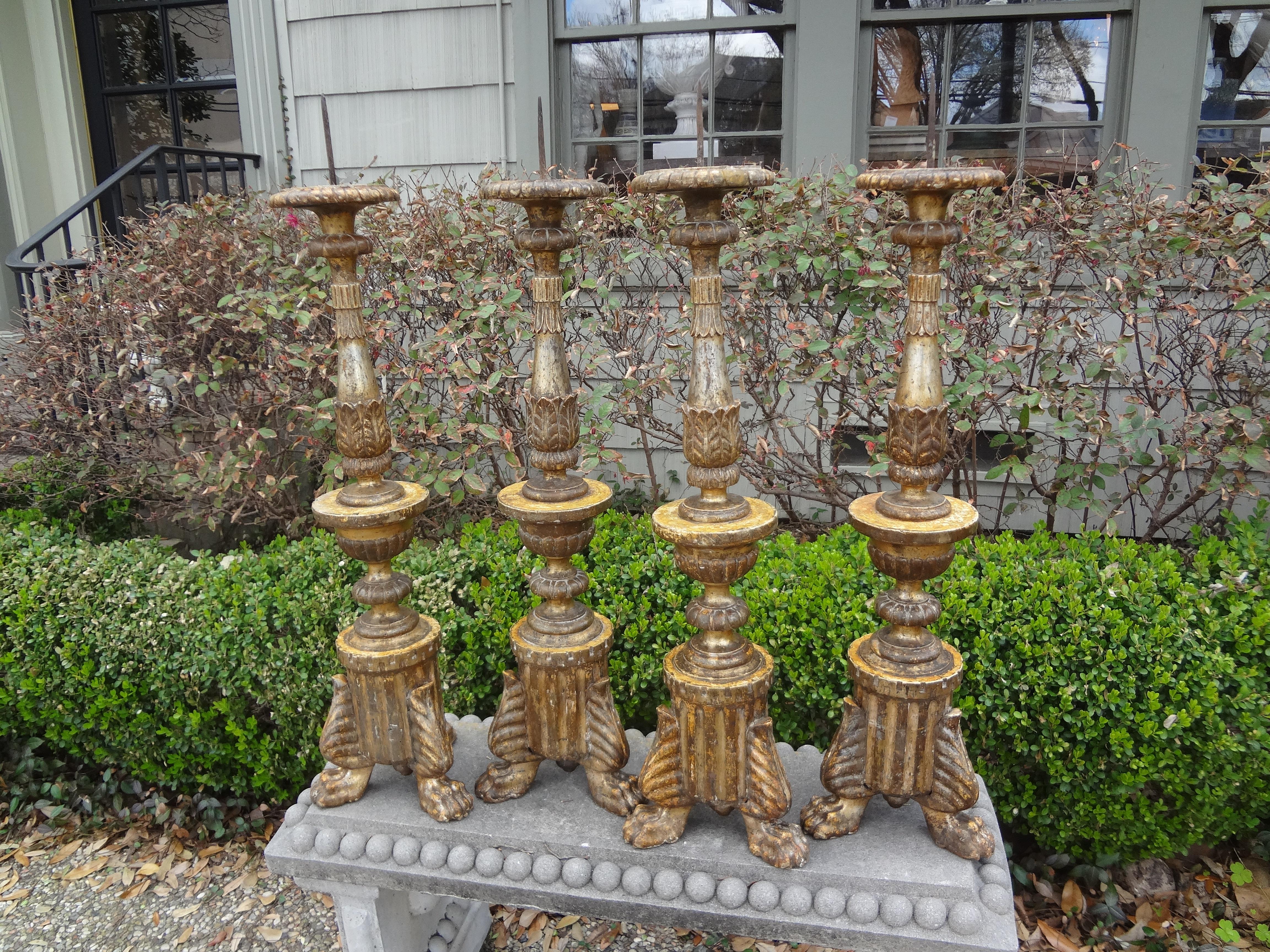 18th Century Italian Giltwood Pricket Altar Sticks, Set of 4 For Sale 7