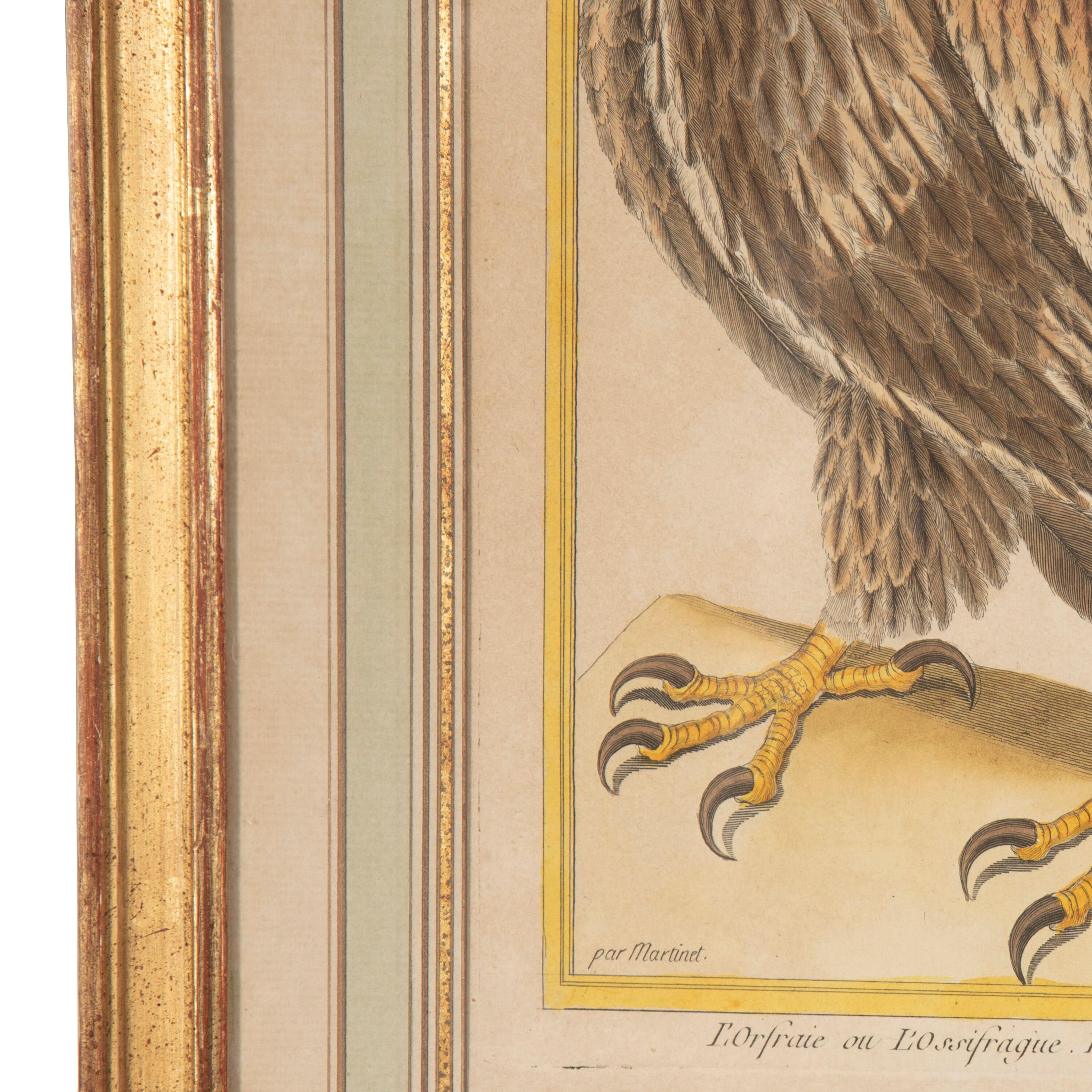 Lovely set of four hand-colored copperplate engravings, by Nicholas Martinet. 
These engravigns are from the Histoire Naturelle des Oiseaux, Paris Imprimerie Royale, by Le Comte de Buffon Georges- Louis Marie Leclerc. 
The engravings are by