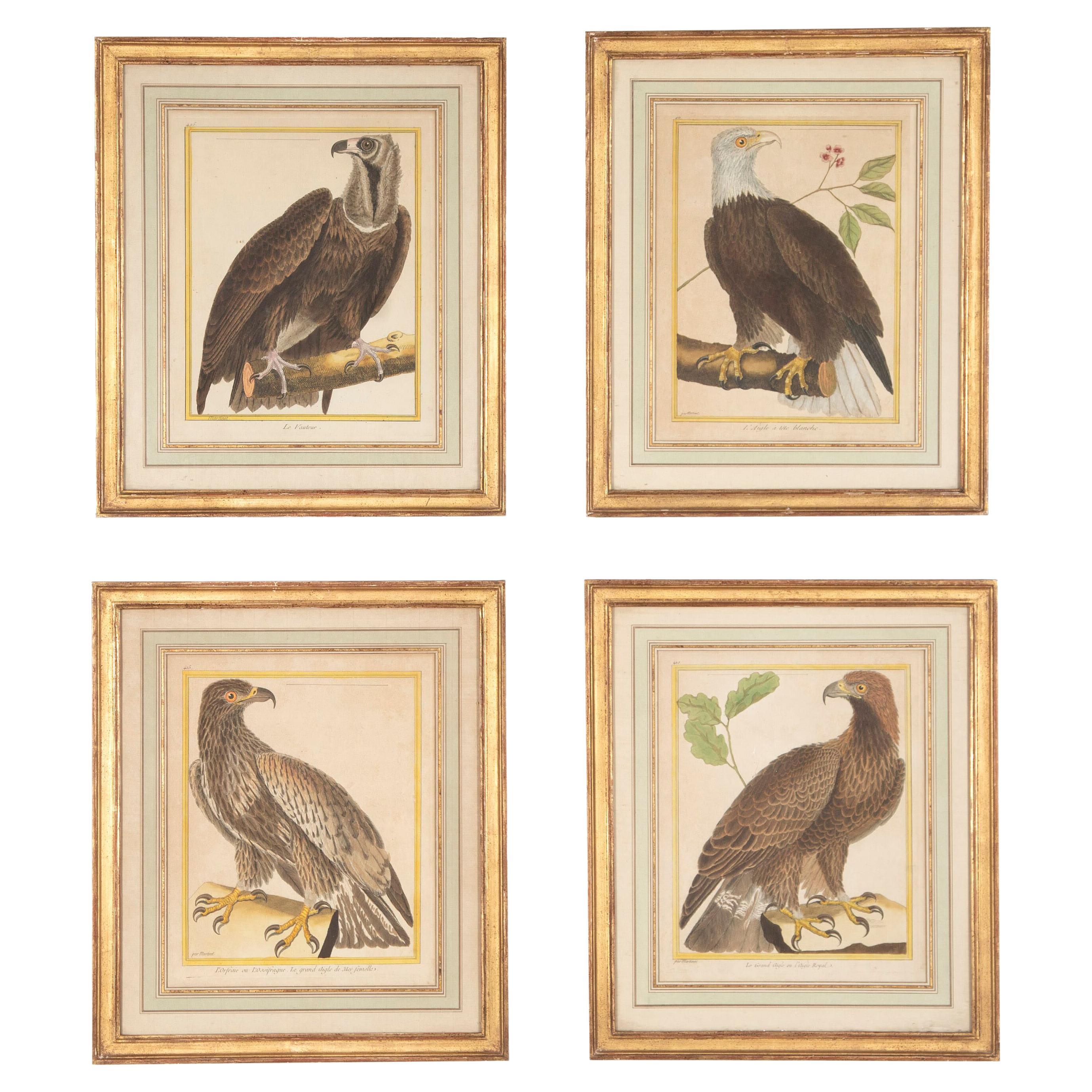 Set of Four 18th Century Martinet Birds