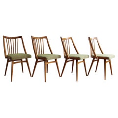 Set of Four 1960's Chairs by Antonin Suman for TON