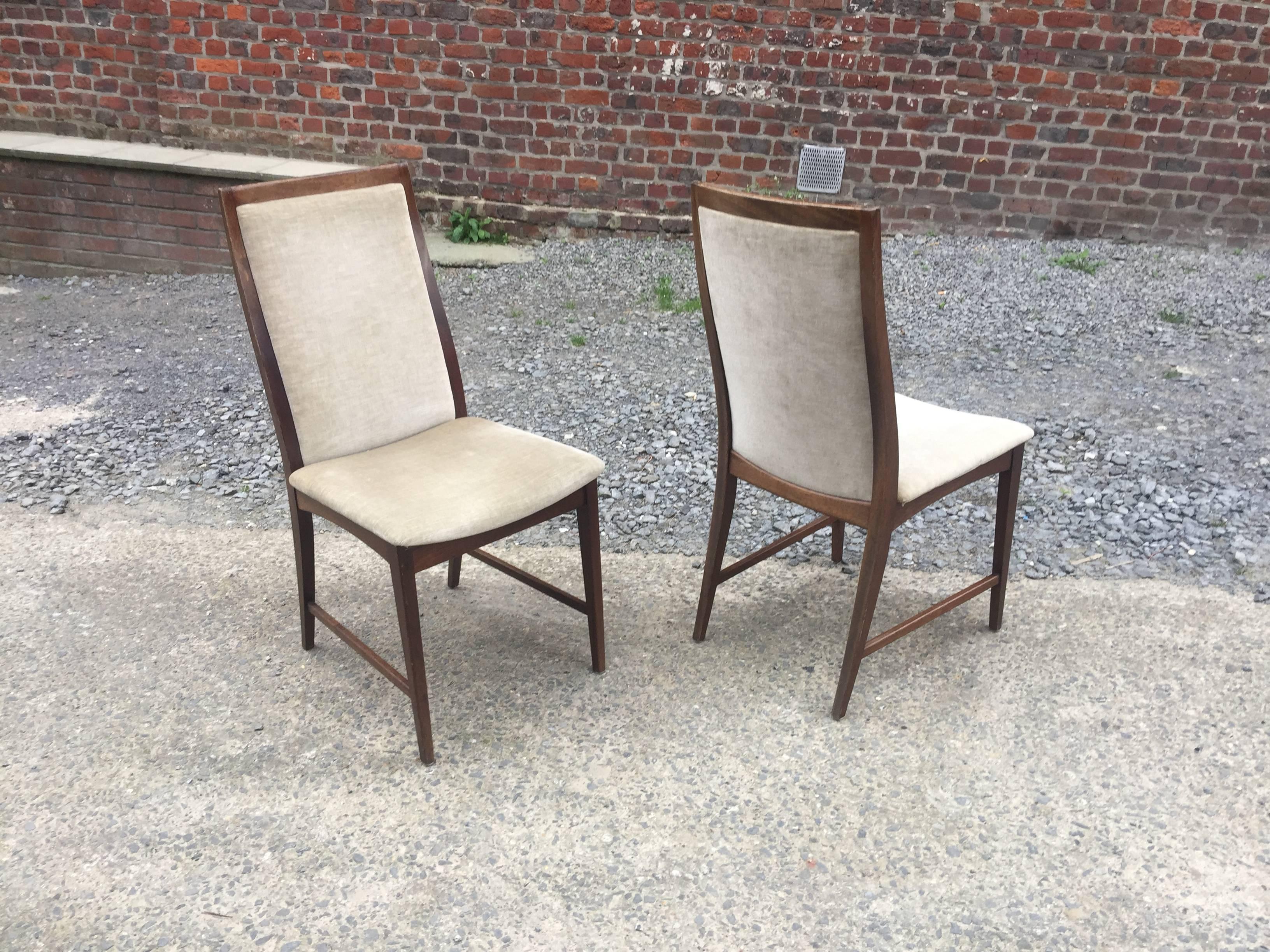 Modern Set of Four 1960s Chairs in Mahogany and Velvet For Sale