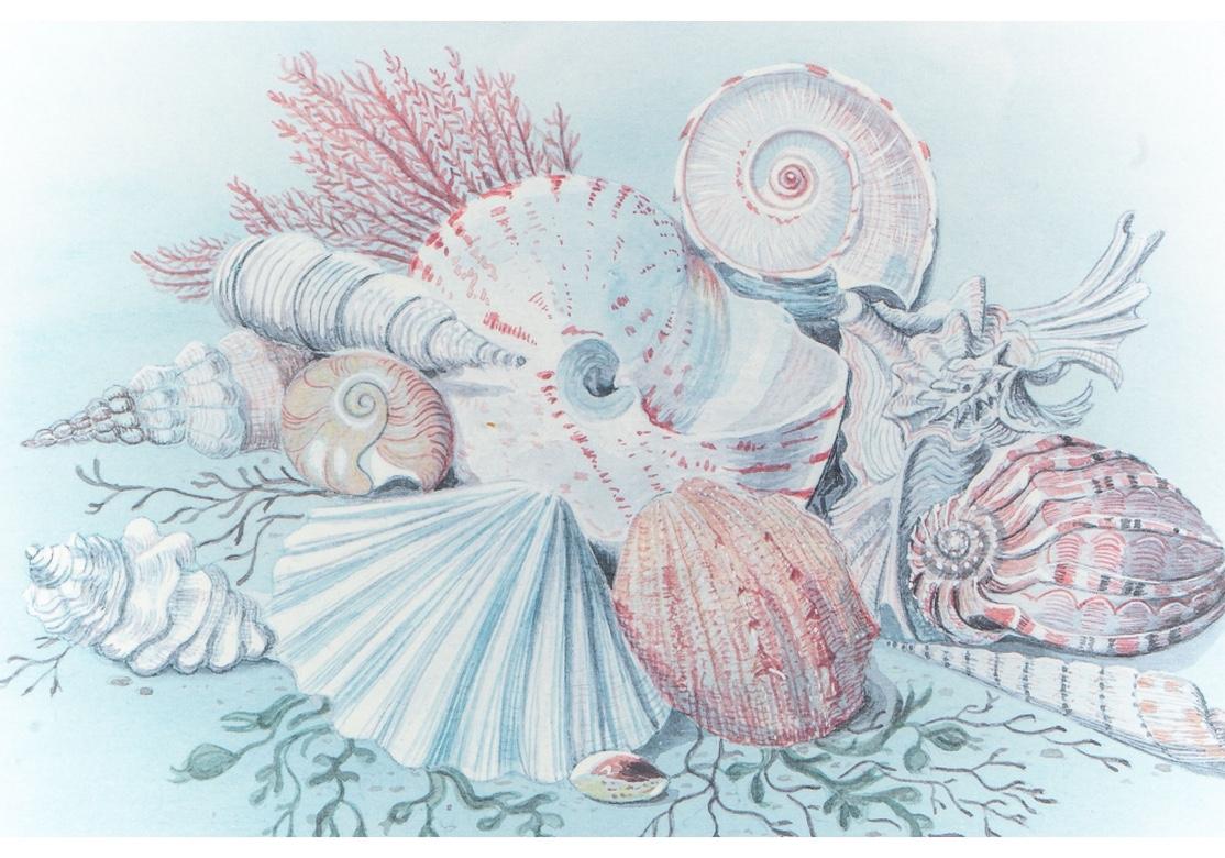 Set of Four 19th Century Watercolors of Sea Shell Vignettes 4