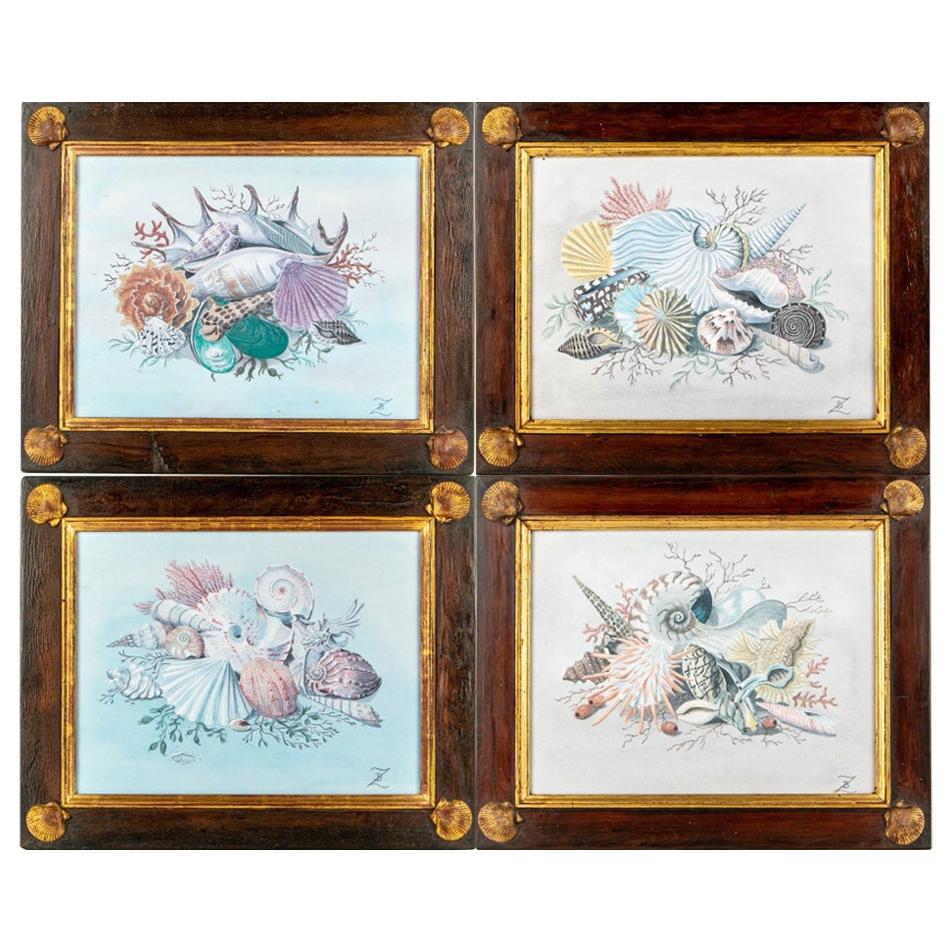 Set of Four 19th Century Watercolors of Sea Shell Vignettes