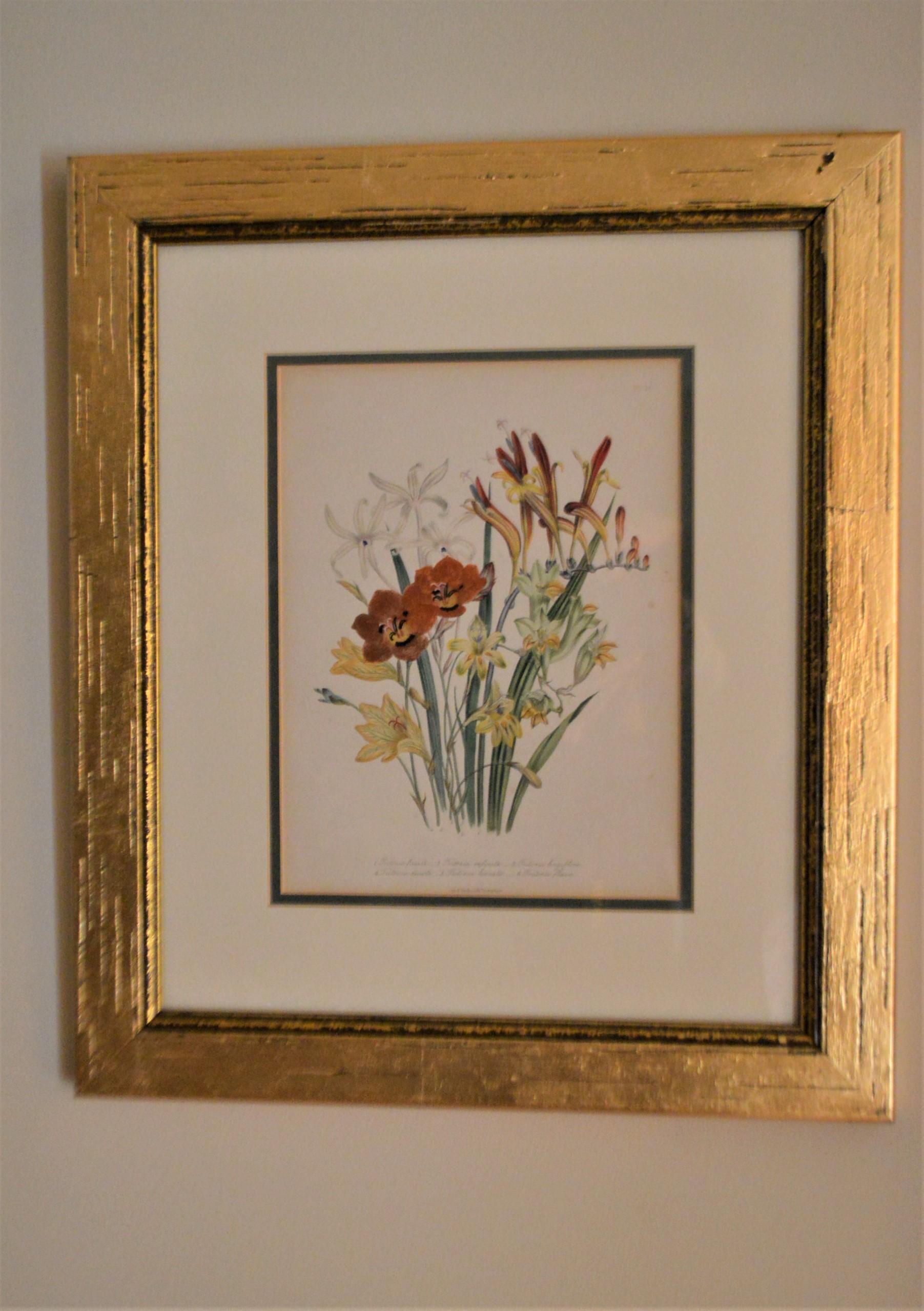 Set of four floral botanical hand painted lithographs from London England, dated 1846, by artist Jane W. Londer.
They have been nicely framed in a leaf gilded wooden frame.
The exterior dimensions are w 15