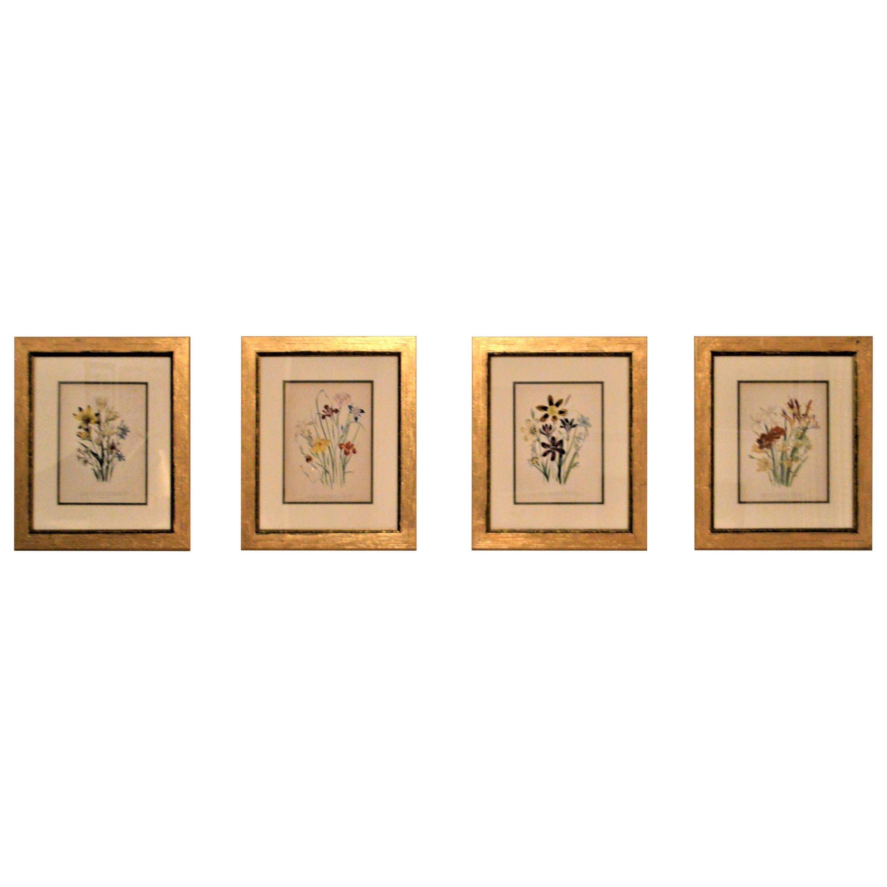 Set of Four 19th Century Botanical Lithographs, Hand Painted, Gilded Frames For Sale
