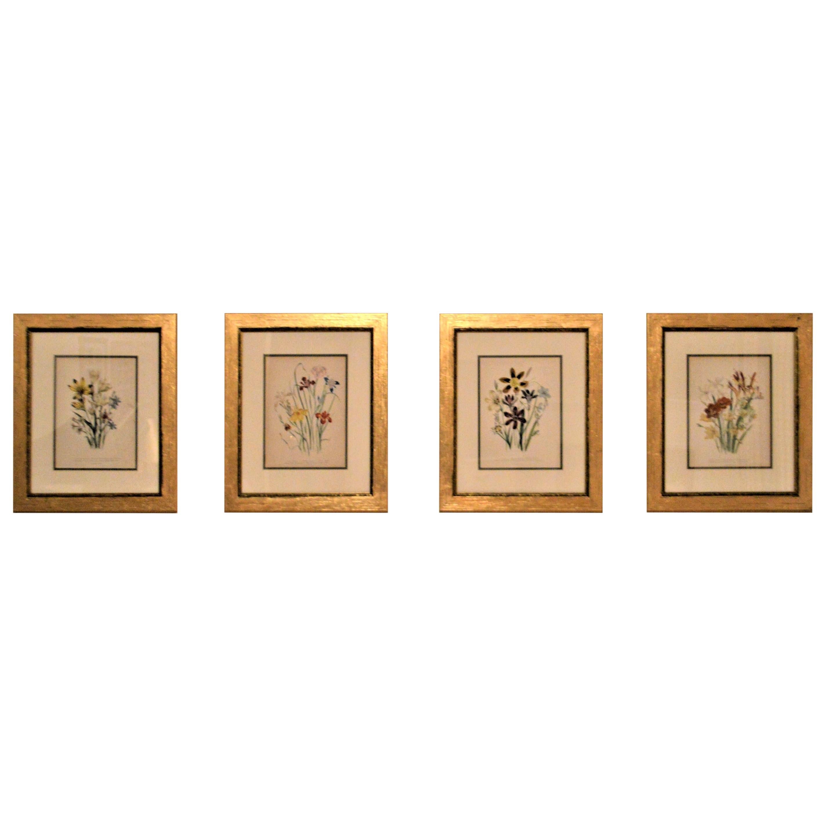 Set of Four 19th Century Botanical Lithographs, Hand Painted, Gilded Frames For Sale