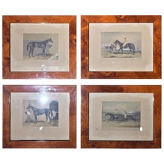 Antique Set of Four 19th Century English Prints Walnut Root Frame