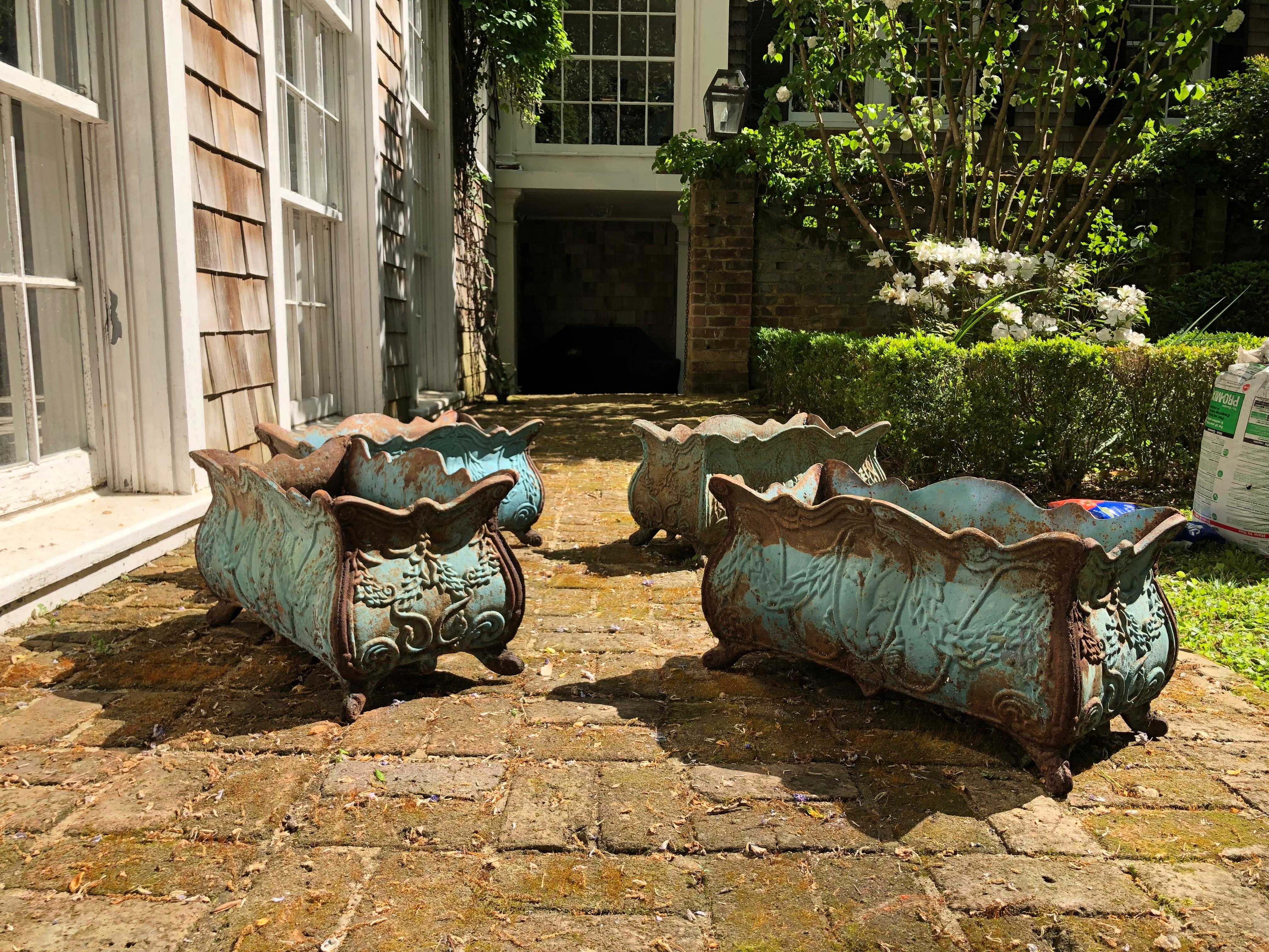 Set of Four 19th Century French Iron Planters In Good Condition In Atlanta, GA