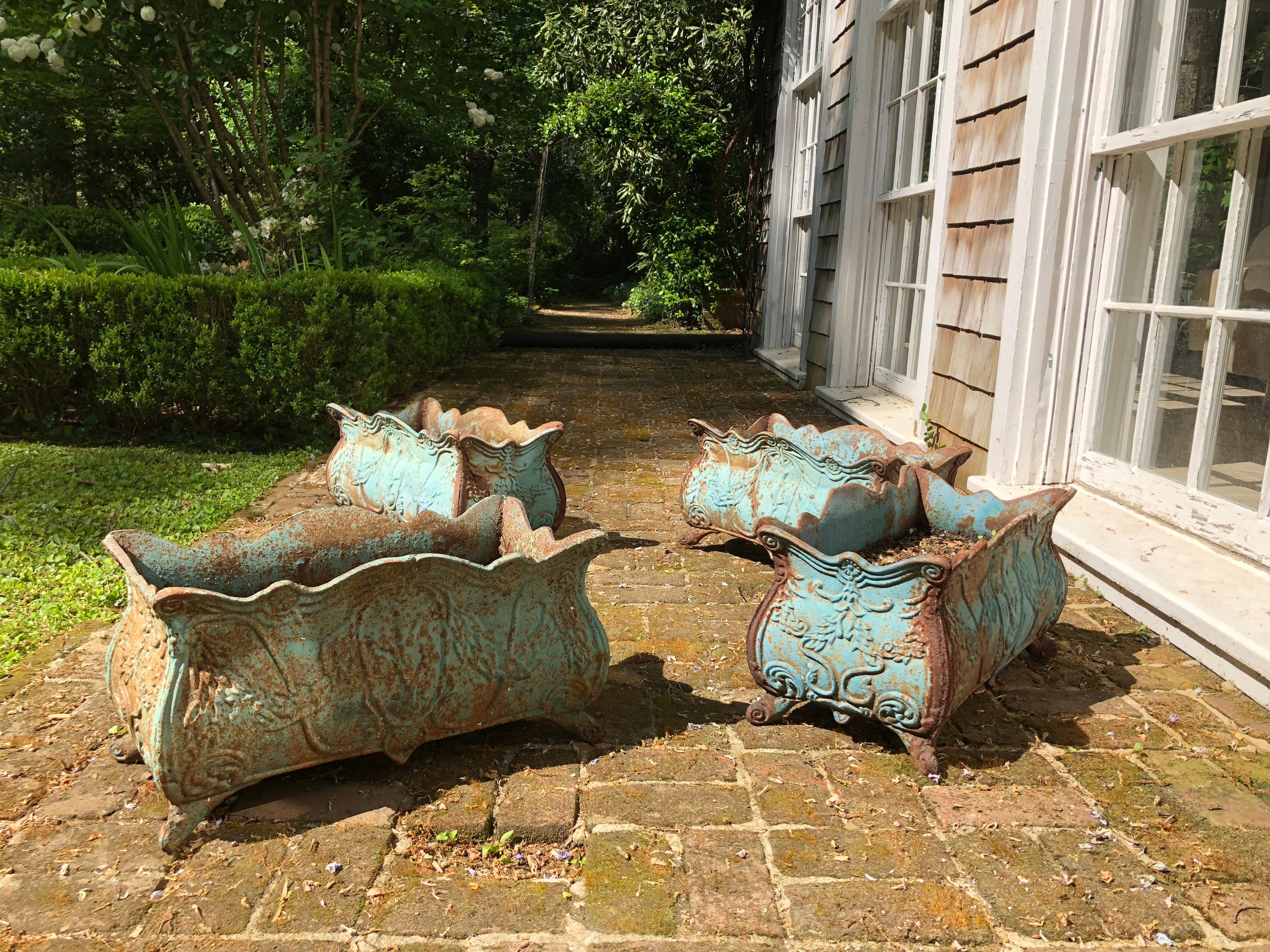 Set of Four 19th Century French Iron Planters 2