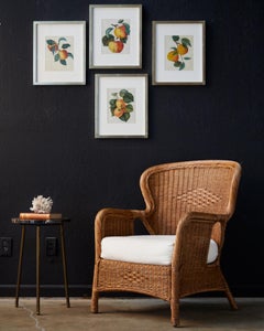 Set of Four 19th Century Hand-Colored Botanical Fruit Prints