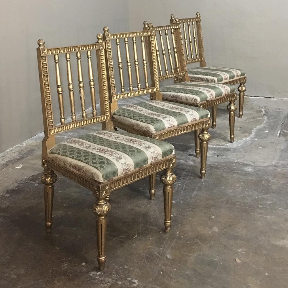 Sculpté à la main Ensemble de quatre chaises suédoises Louis XVI dorées du 19e siècle en vente