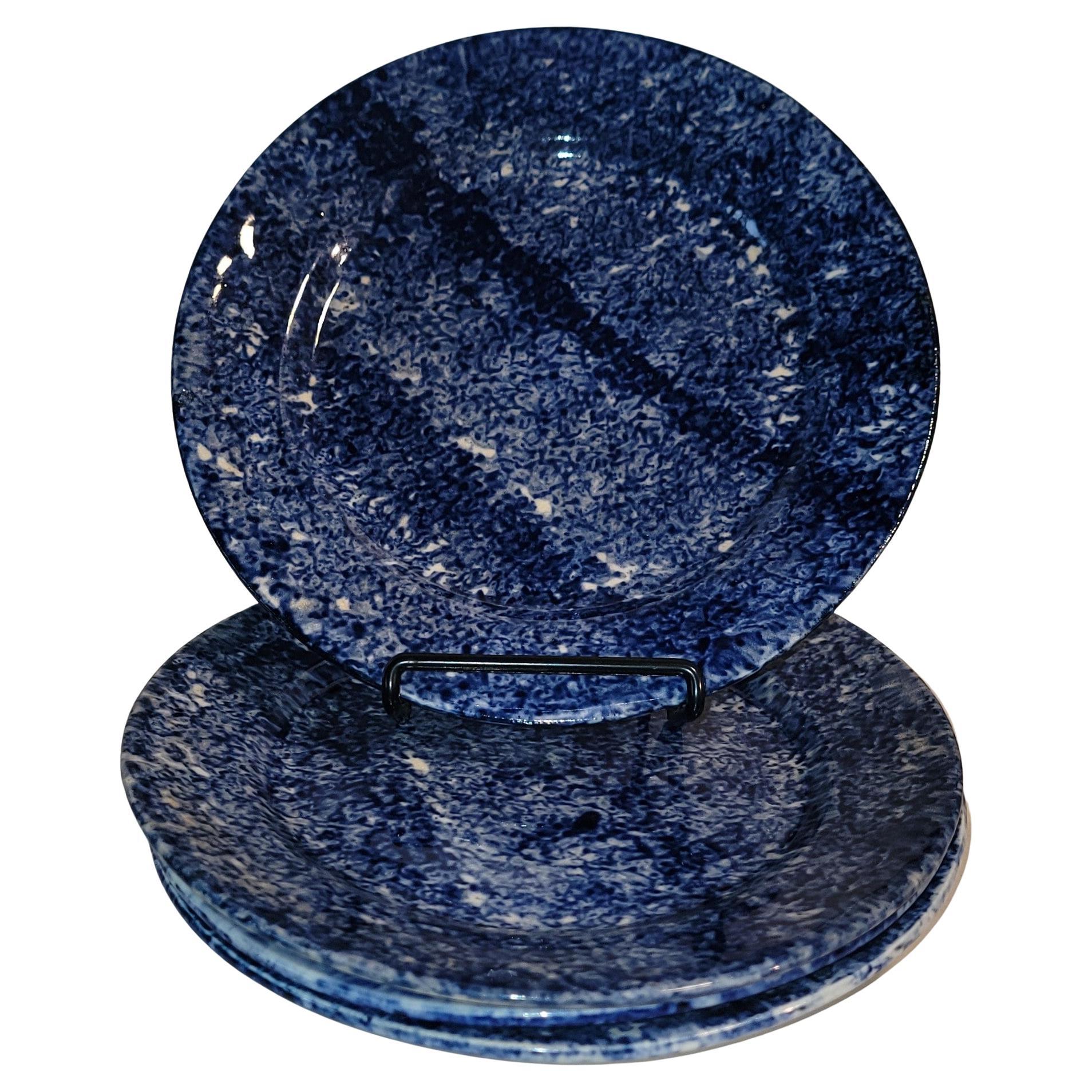 Set of Four 19Thc Sponge Ware Plates -4 For Sale