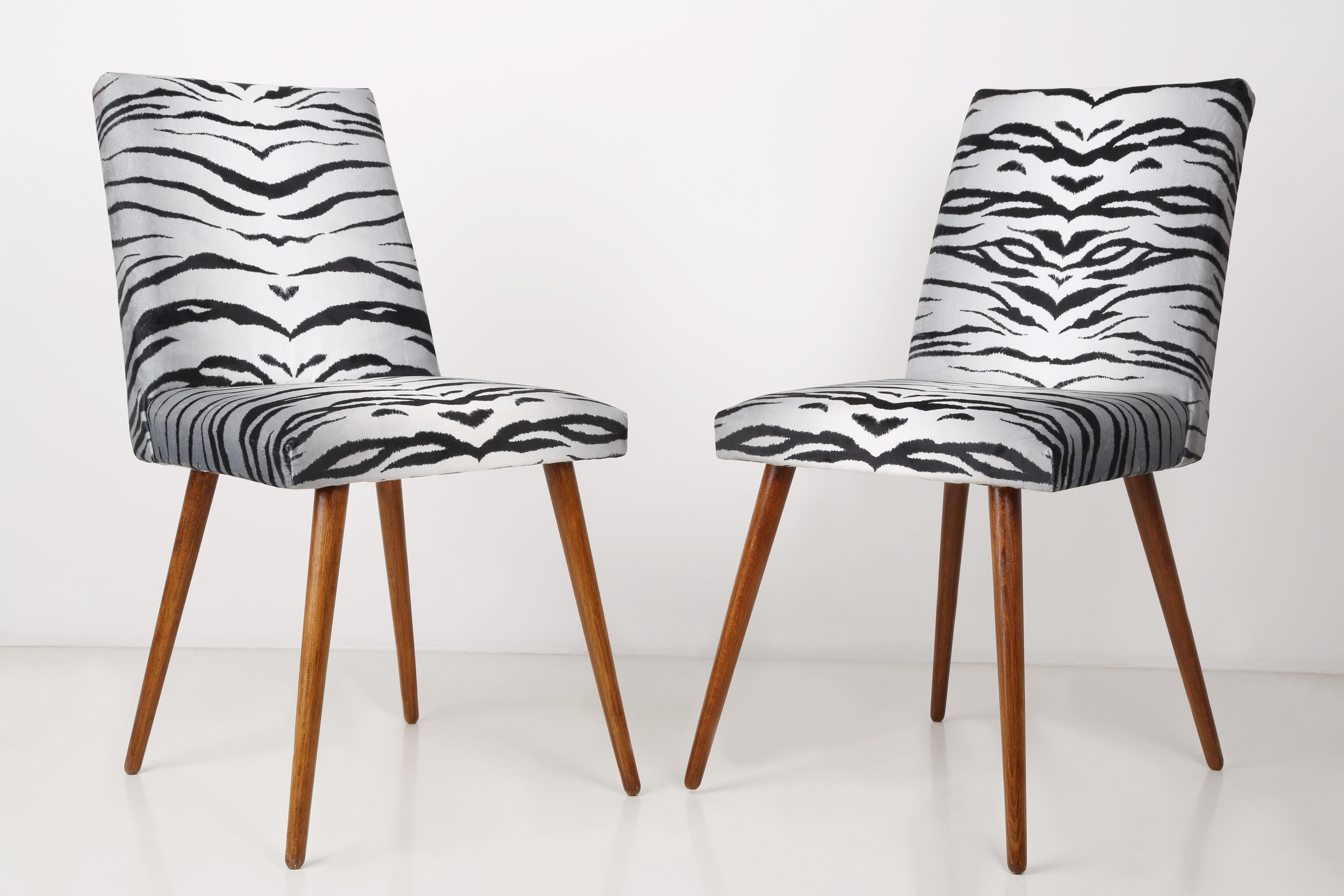 A beautiful chairs produced in the 1960s after a complete upholstery and refreshing of the woodwork, comfortable and stabile. The whole is covered with high-quality animal print zebra velvet (color 06). This is a part of 