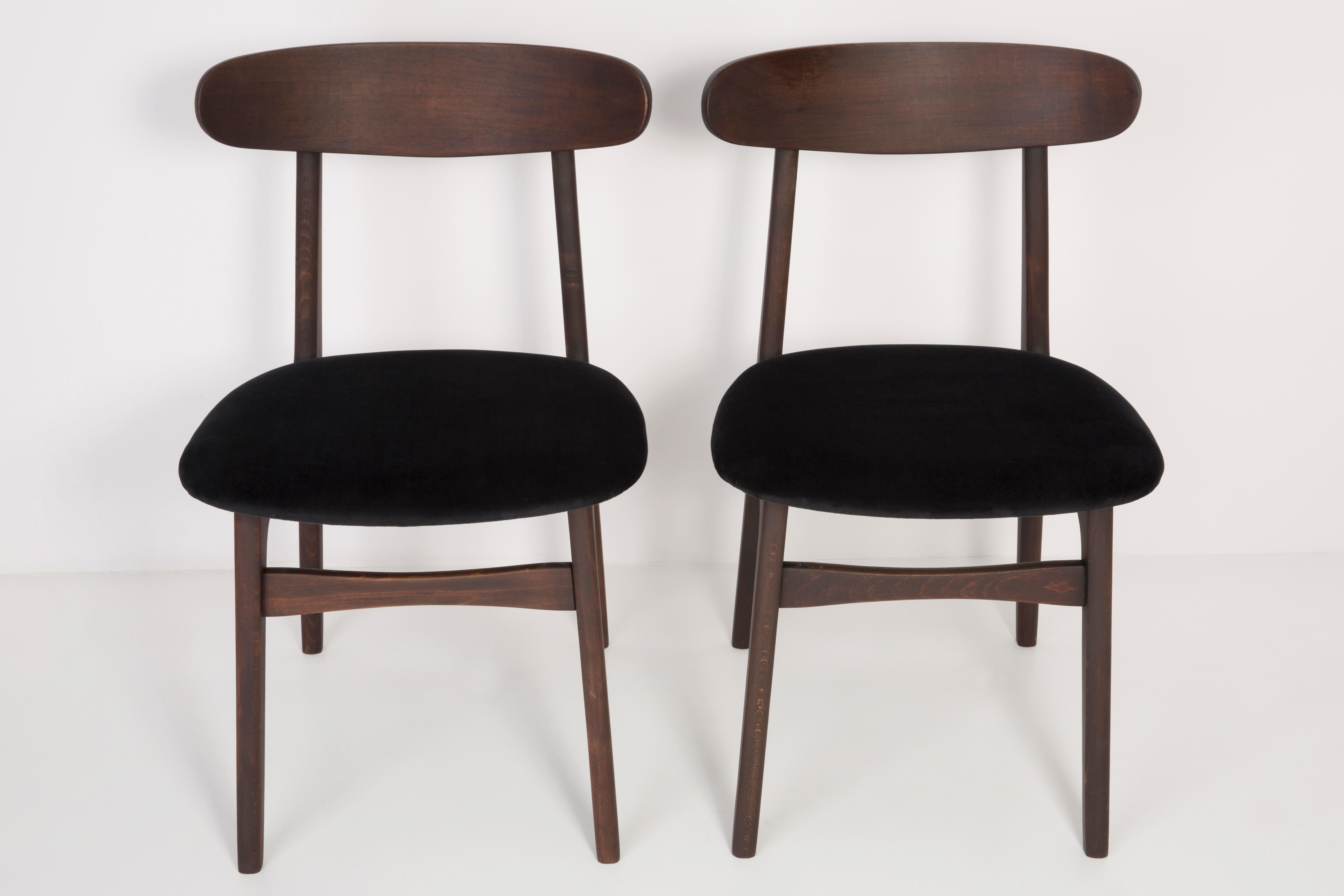 Chairs designed by Prof. Rajmund Halas. Made of beechwood. Chair is after a complete upholstery renovation, the woodwork has been refreshed. Seat and back is dressed in black, durable and pleasant to the touch velvet fabric. Chair is stabile and