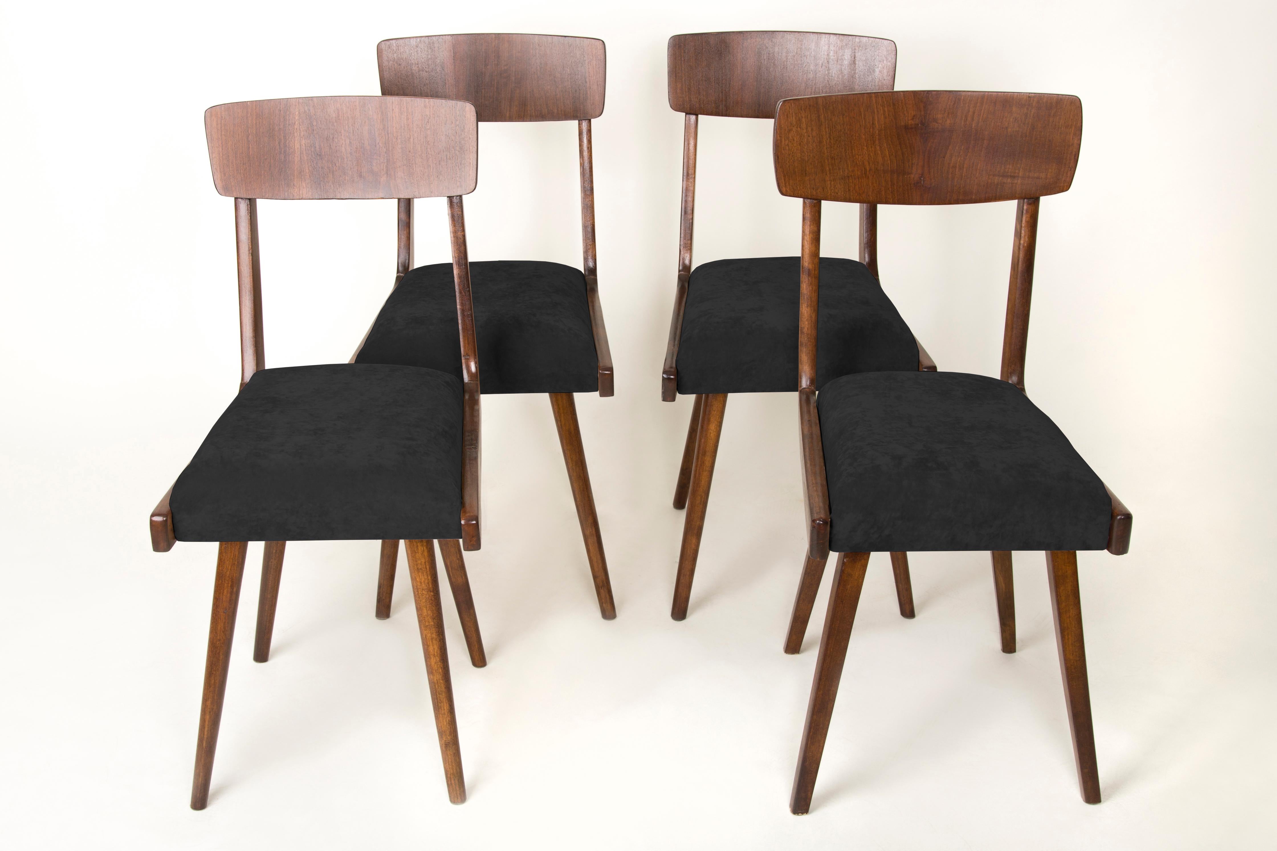 Stühle entworfen von Prof. Rajmund Halas. Sie wurden aus Buchenholz hergestellt. Sie wurden komplett neu gepolstert, die Holzarbeiten wurden aufgefrischt. Die Sitze waren mit dunkelblauem, weichem Samt bezogen. Sie sind stabil und sehr formschön.
