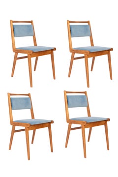 Set of Four 20th Century Blue Velvet Chairs, Poland, 1960s