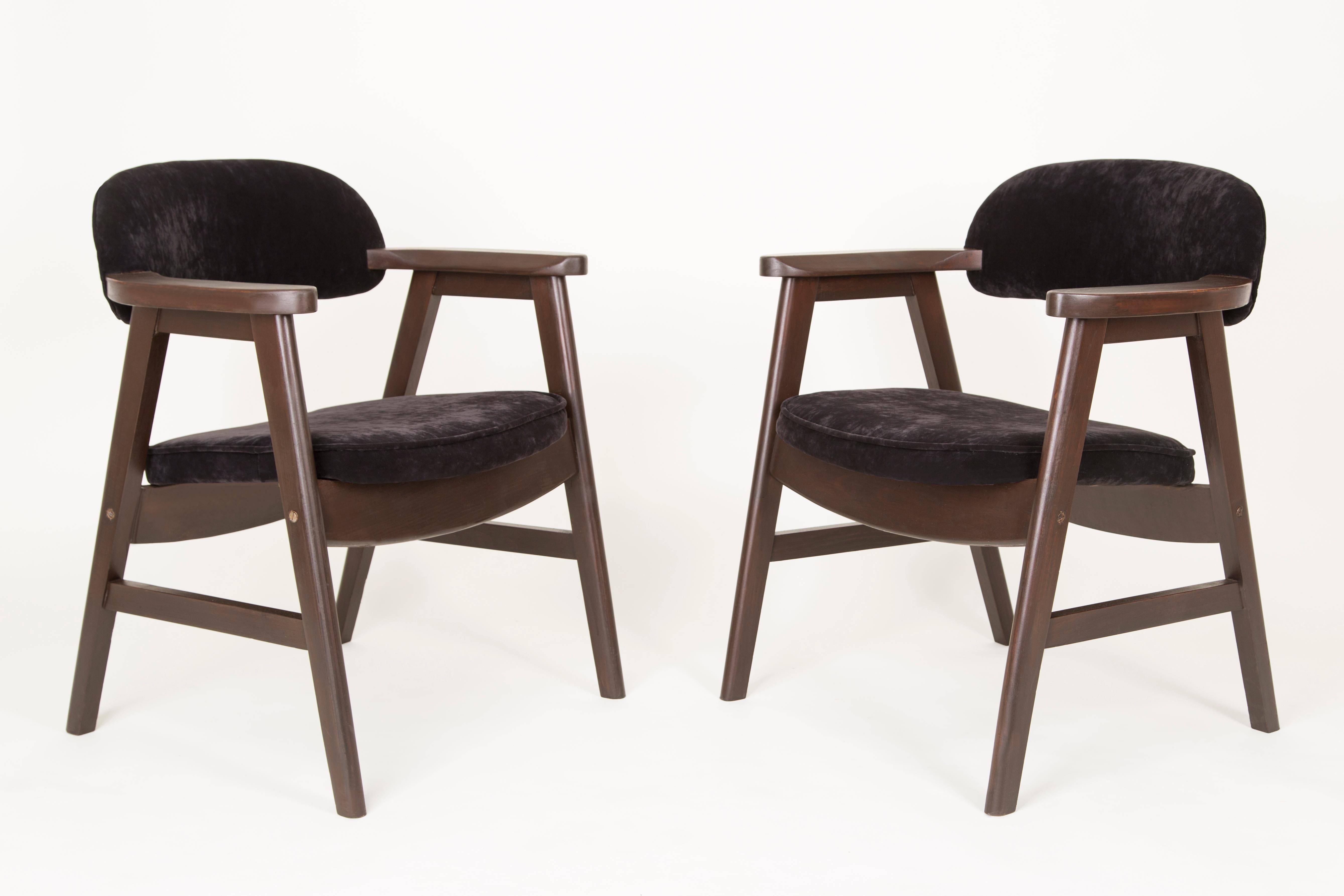 Polish Set of Four 20th Century Buffalo Black Wood and Velvet Chairs, 1960s For Sale