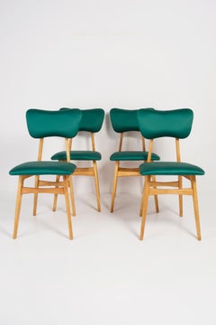 Ensemble de quatre chaises Dedar Tabularasa vertes du 20ème siècle, années 1960