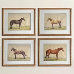 Set of Four 20th Century English Thoroughbred Horse Watercolor Paintings