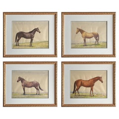 Set of Four 20th Century English Thoroughbred Horse Watercolor Paintings