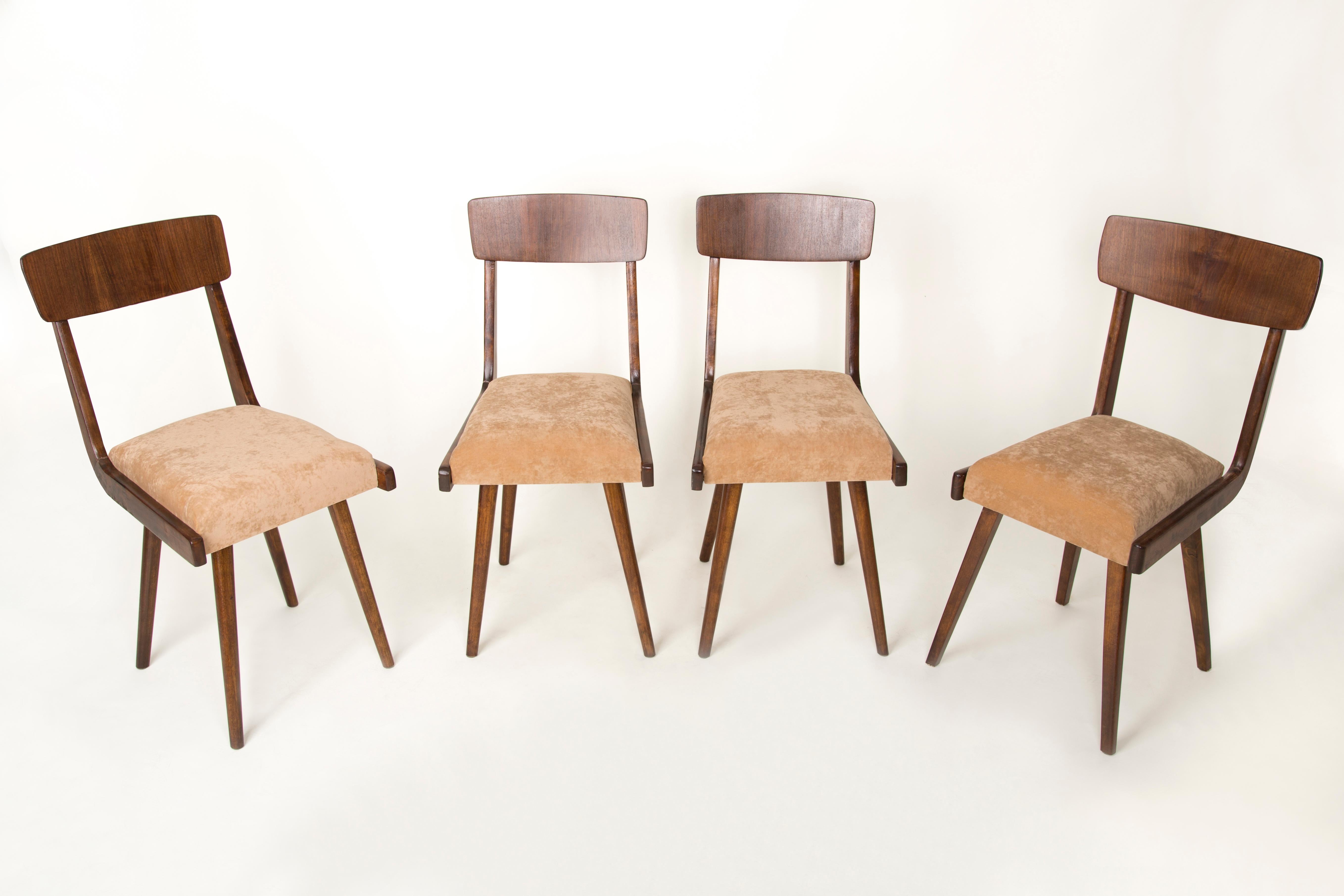 Stühle entworfen von Prof. Rajmund Halas. Sie wurden aus Buchenholz hergestellt. Sie wurden komplett neu gepolstert, die Holzarbeiten wurden aufgefrischt. Die Sitze waren mit beigem, weichem Samt bezogen. Sie sind stabil und sehr formschön. Die