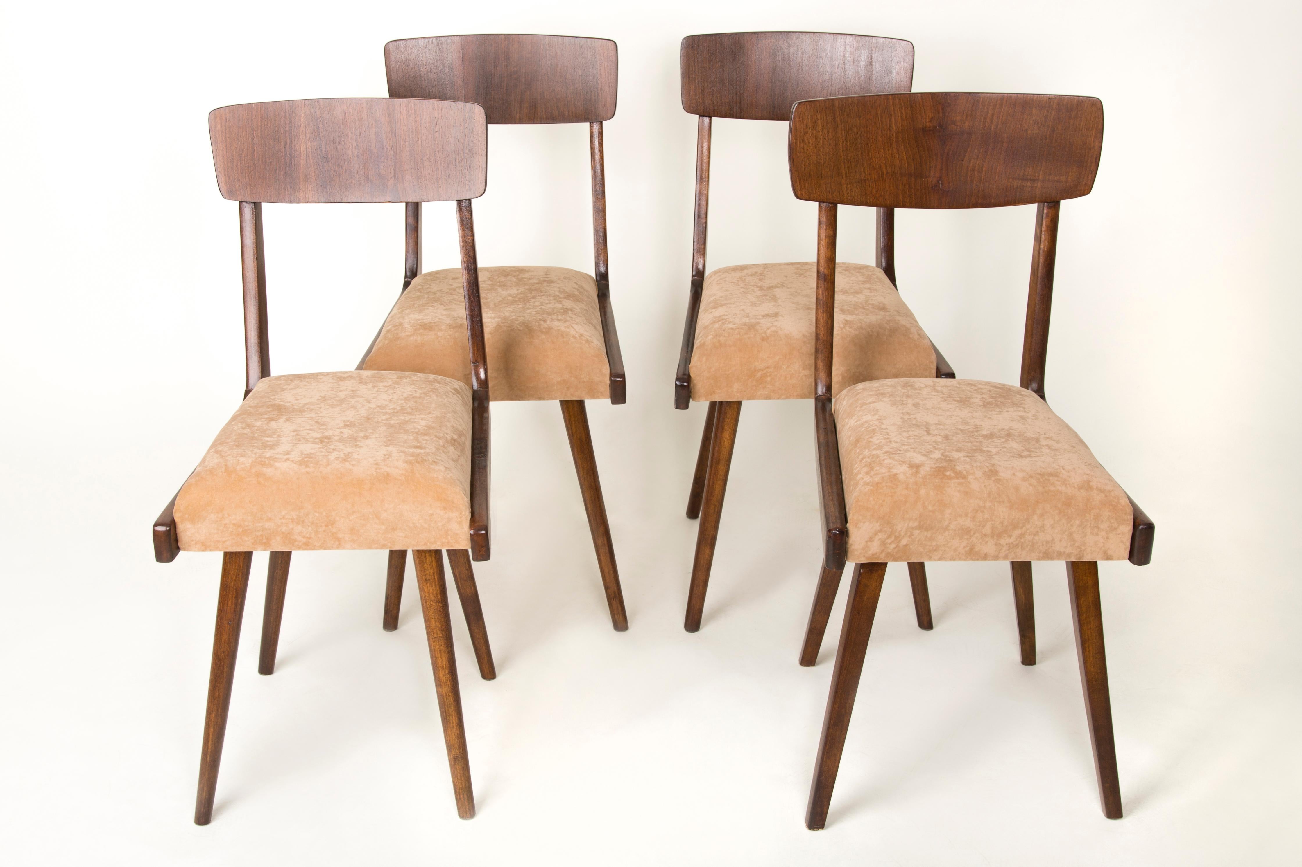 Mid-Century Modern Set of Four 20th Century Gazelle Beige Wood Chairs, 1960s For Sale