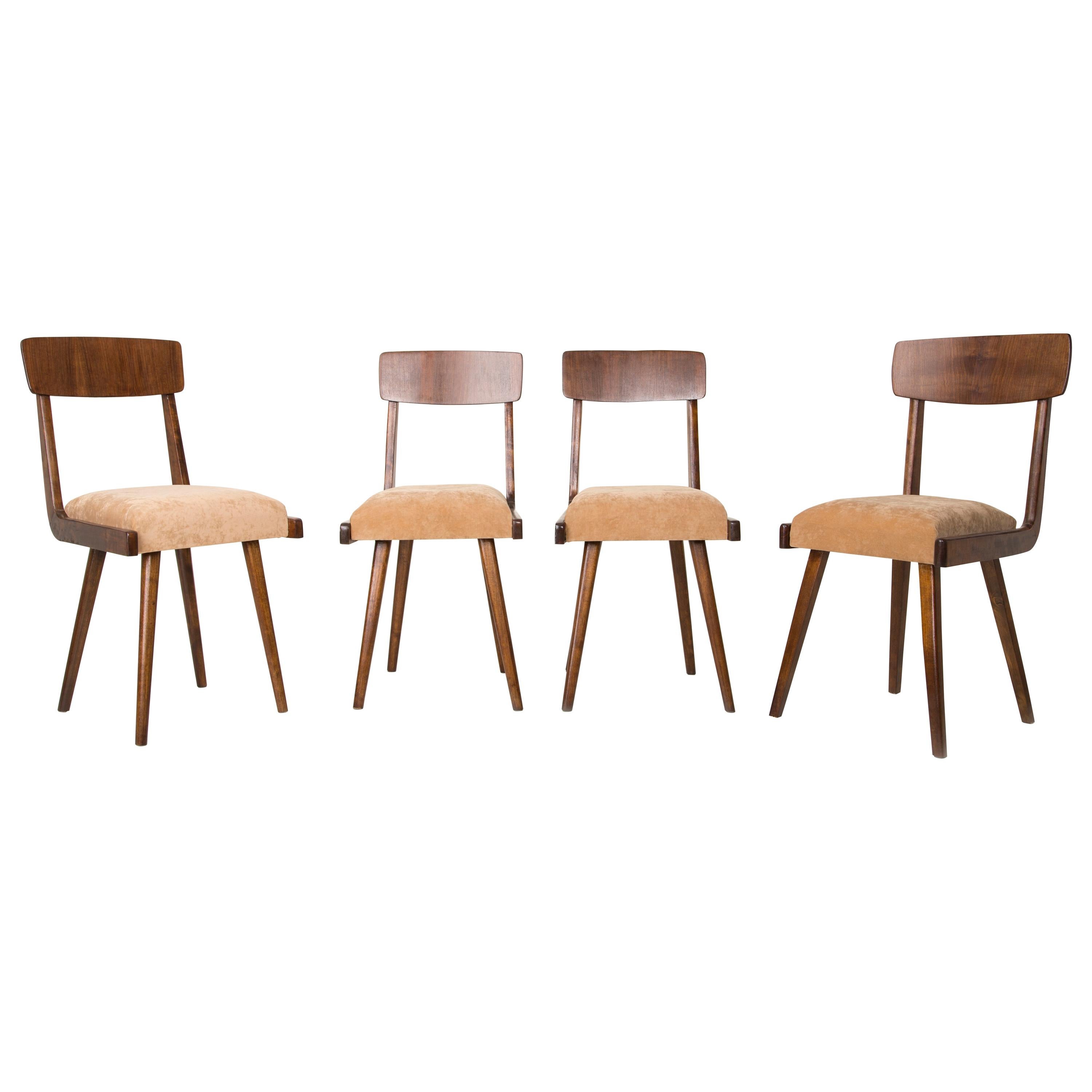Set of Four 20th Century Gazelle Beige Wood Chairs, 1960s