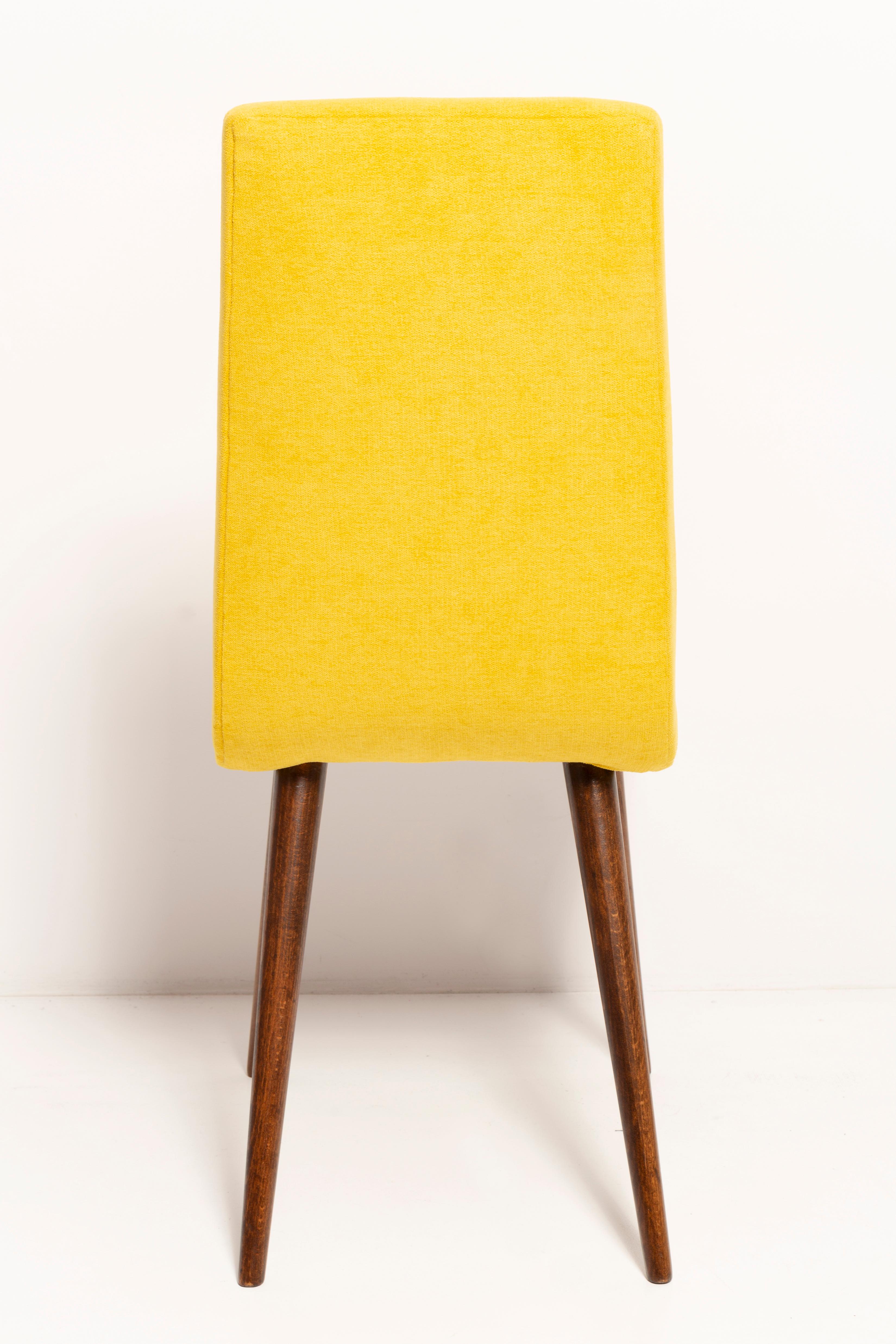Set of Four 20th Century Mustard Yellow Wool Chair, Rajmund Halas Europe, 1960s In Excellent Condition For Sale In 05-080 Hornowek, PL