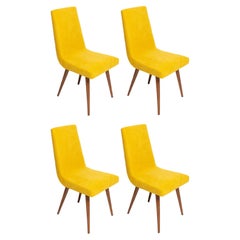 Set of Four 20th Century Mustard Yellow Wool Chair, Rajmund Halas Europe, 1960s