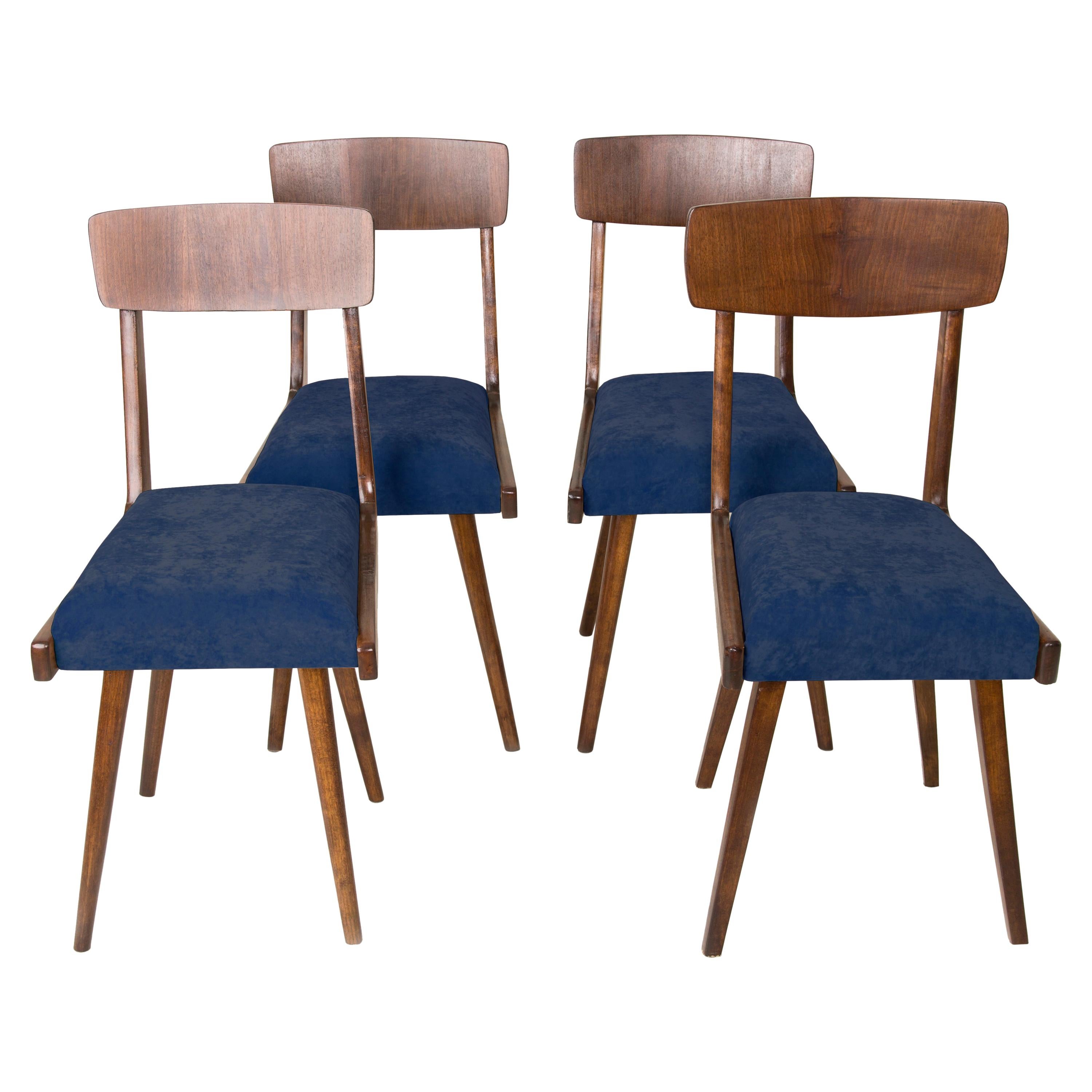 Set of Four Mid Century Navy Blue Velvet Wood Chairs, Europe, 1960s