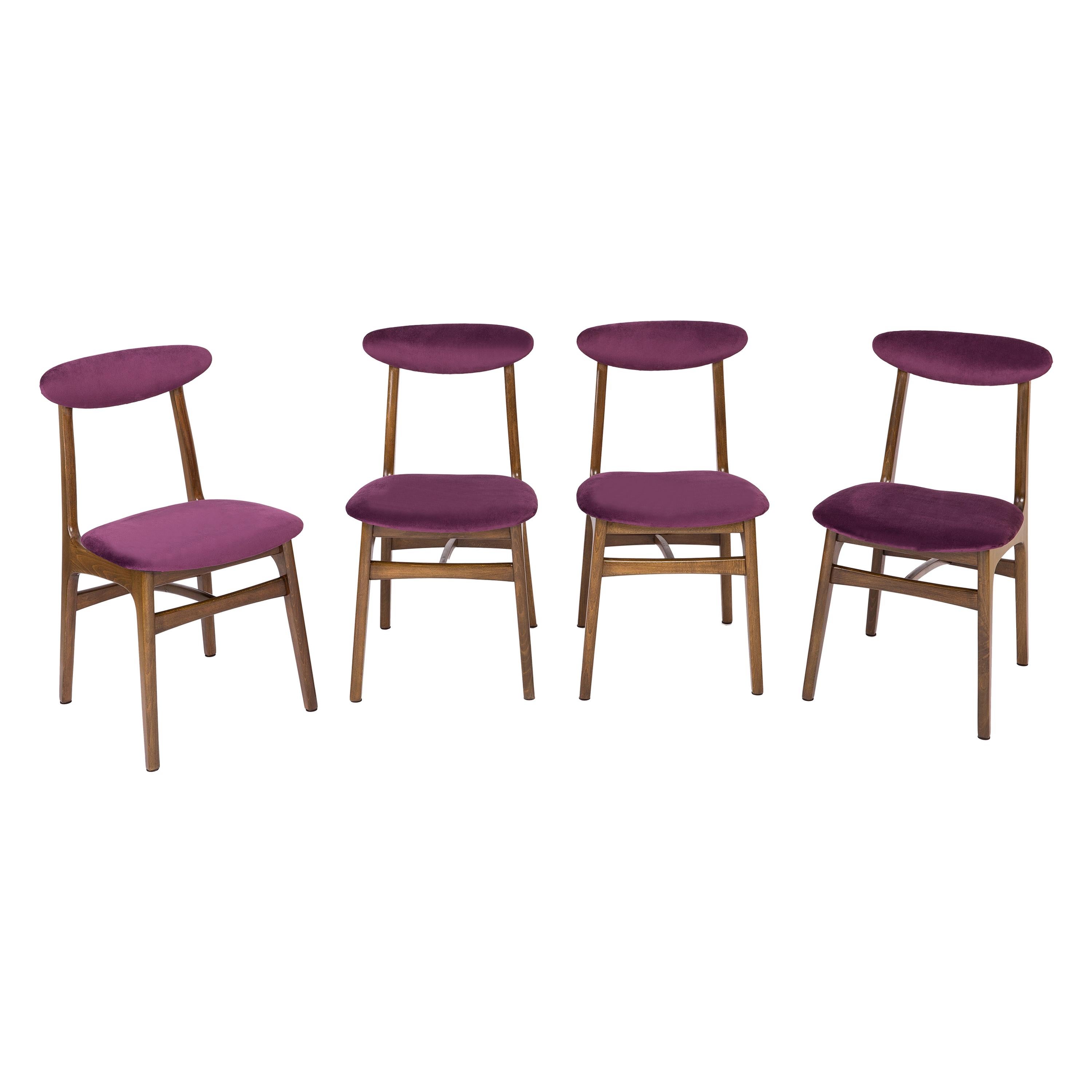 Set of Four 20th Century Plum Velvet Rajmund Halas Chairs, 1960s For Sale