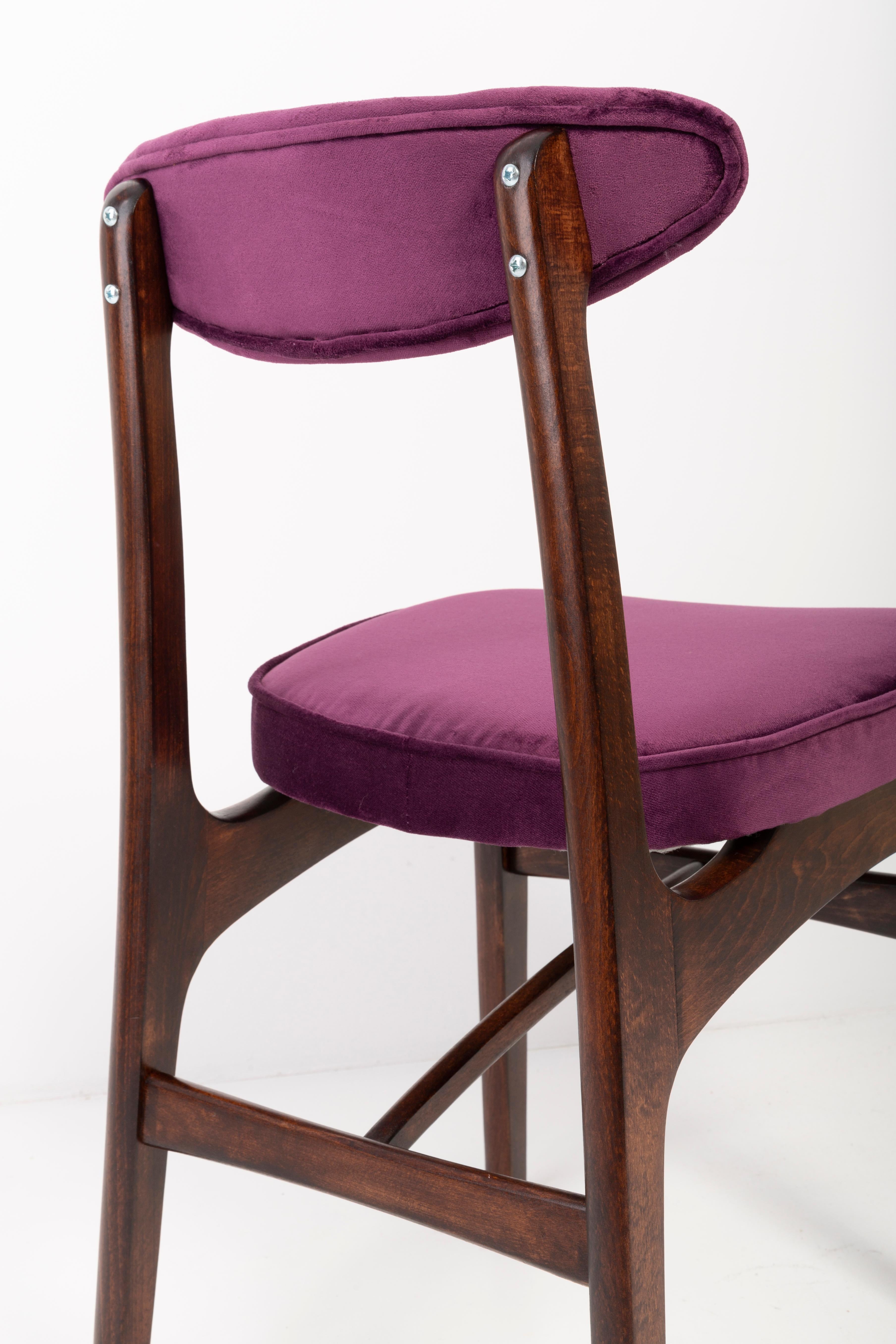 Set of Four 20th Century Plum Violet Velvet Rajmund Halas Chairs, 1960s For Sale 2