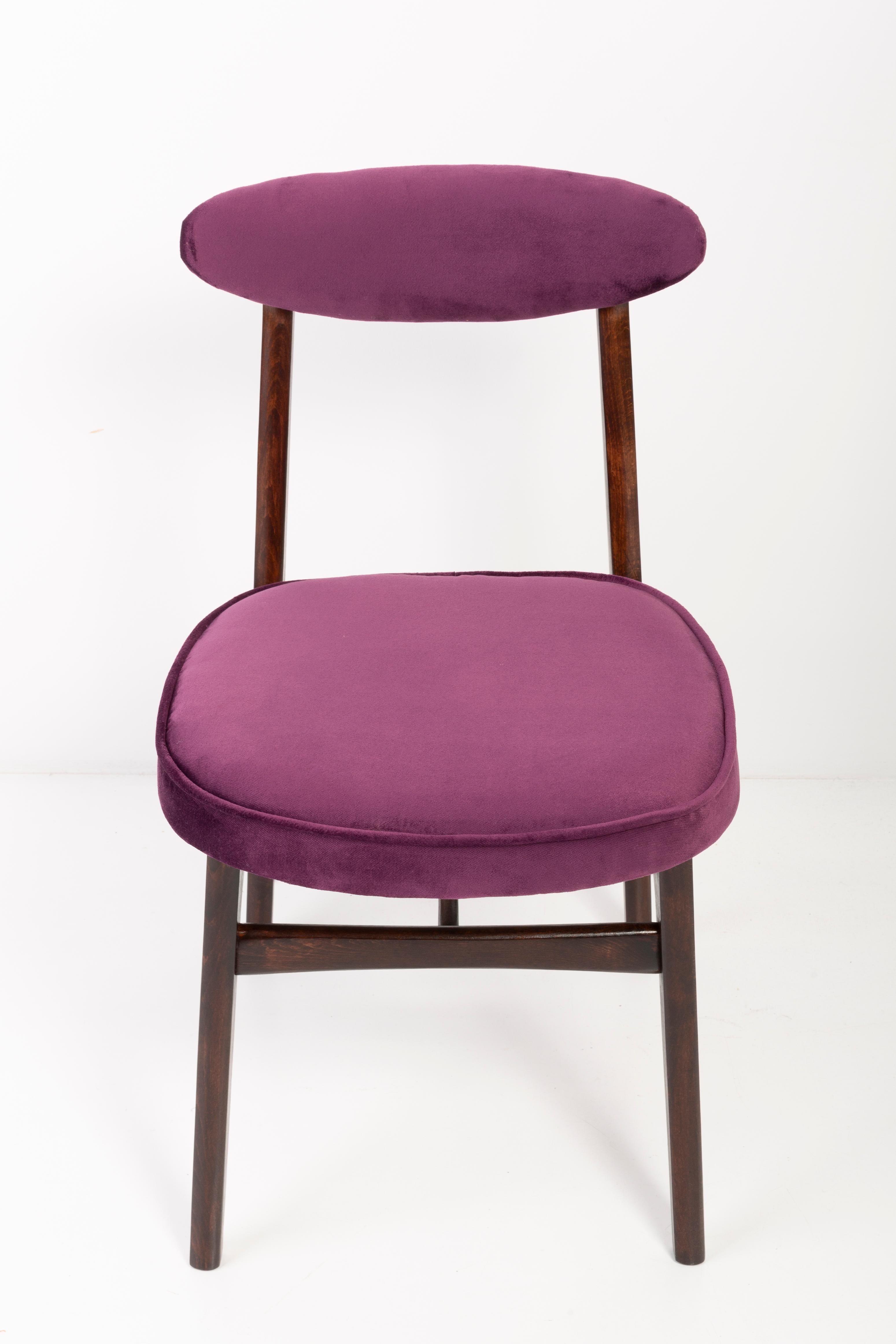 Set of Four 20th Century Plum Violet Velvet Rajmund Halas Chairs, 1960s In Excellent Condition For Sale In 05-080 Hornowek, PL