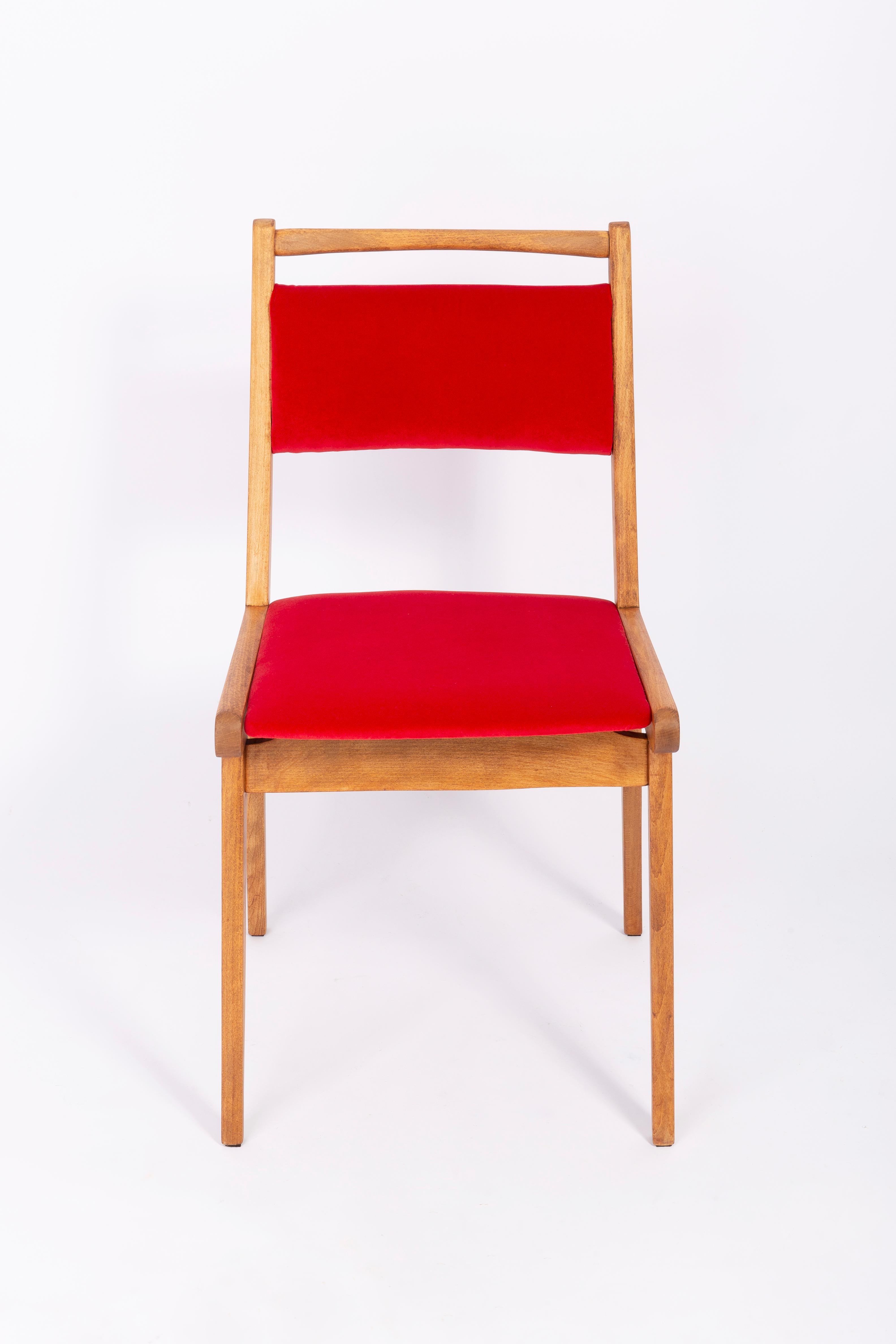Satz von vier Stühlen aus rotem Samt:: 20. Jahrhundert:: von Rajmund Halas:: Polen:: 1960er Jahre (Buchenholz) im Angebot