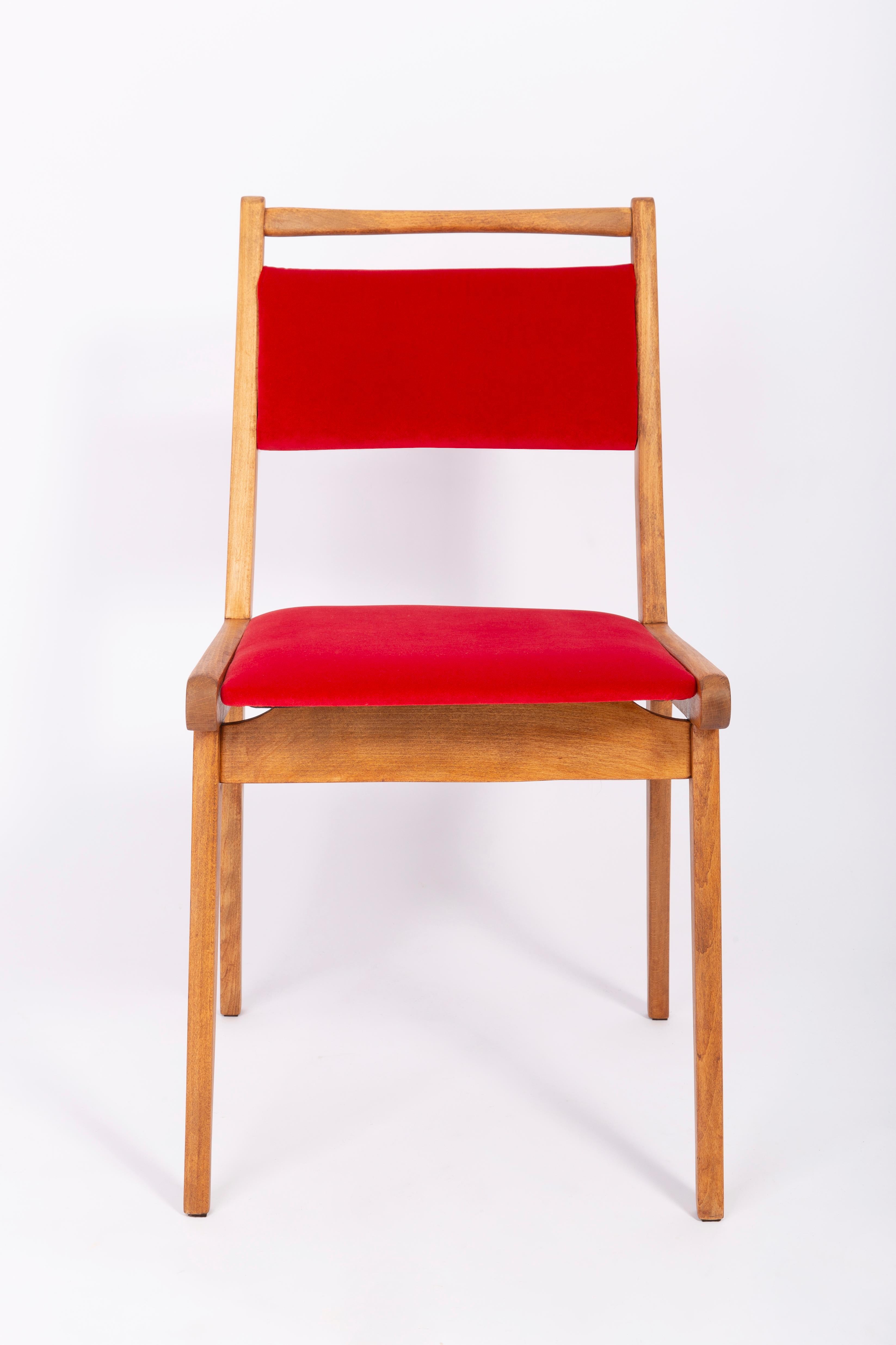 Satz von vier Stühlen aus rotem Samt:: 20. Jahrhundert:: von Rajmund Halas:: Polen:: 1960er Jahre im Angebot 1